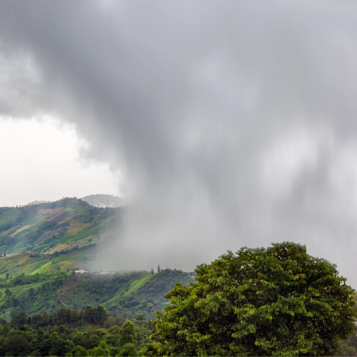 “Rain Bomb คืออะไร? เจาะปรากฏการณ์ฝนถล่มเฉียบพลันแบบเฉพาะจุด”
