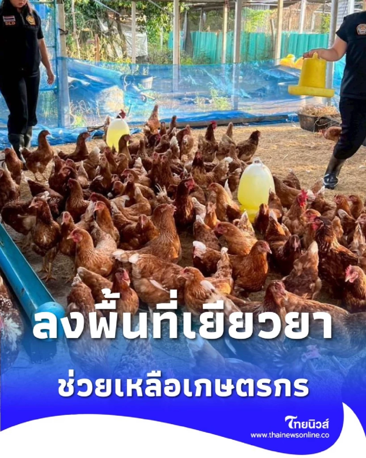 กรมปศุสัตว์ ลงพื้นที่เยียวยาเกษตรกรผู้เลี้ยงสัตว์ชัยนาทที่ประสบภัยน้ำท่วม