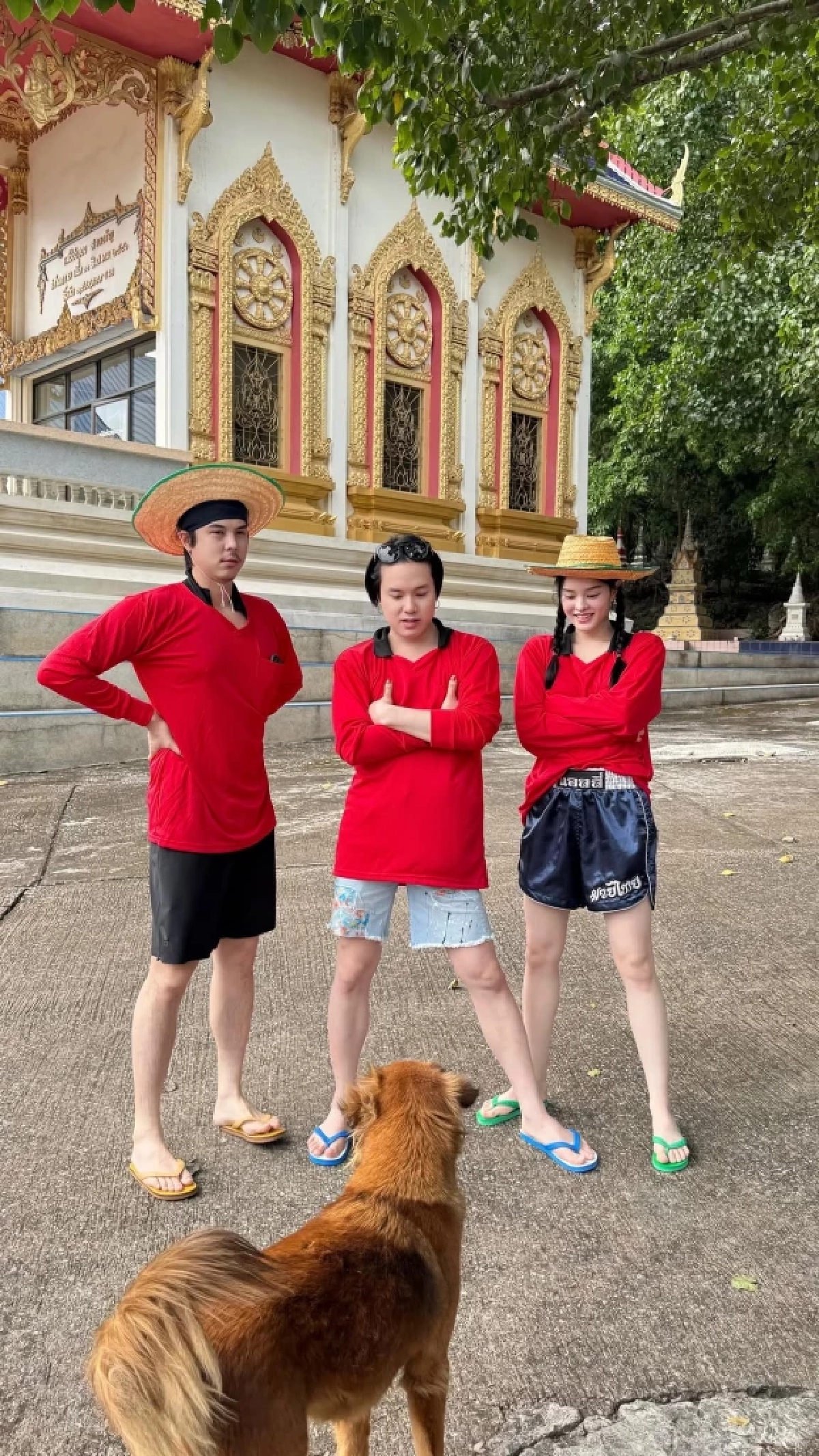 แค่ทีเซอร์ก็ฮาแล้ว! น้องแอลลี่ร่วมกับช่องเซียนหรั่ง