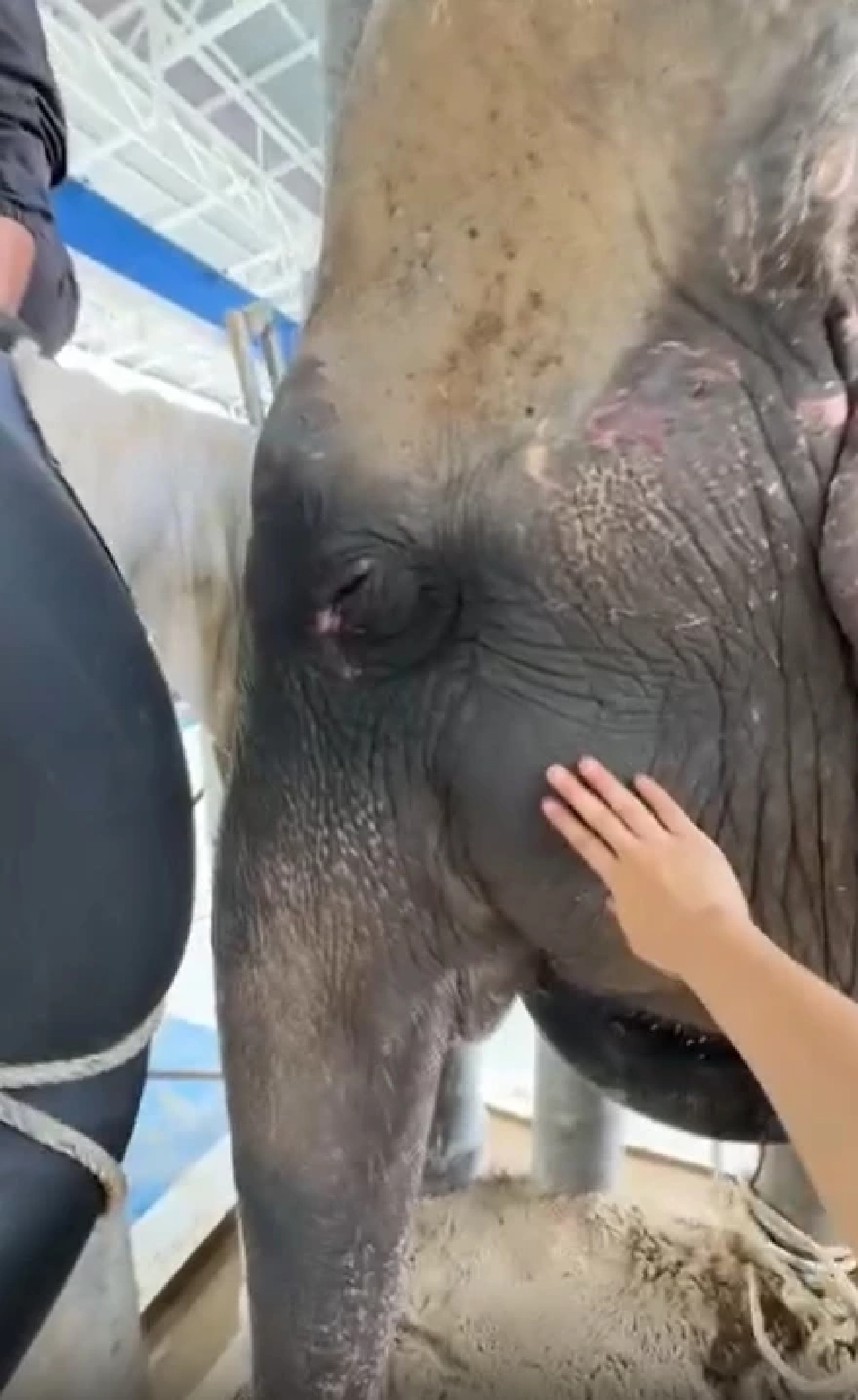 \"หมอโบว์\"เศร้า สิ่งสุดท้ายไม่ได้ทำ พังสร้อยฟ้า ล้ม หลังสู้18วัน