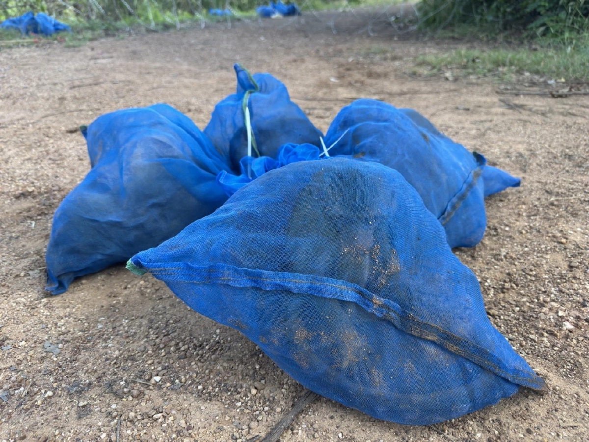 ไล่ล่ากลางชายแดน! รวบ 2 ผู้ต้องหาขนลิงแสม 81 ตัว ทิ้งรถหนีลงน้ำ