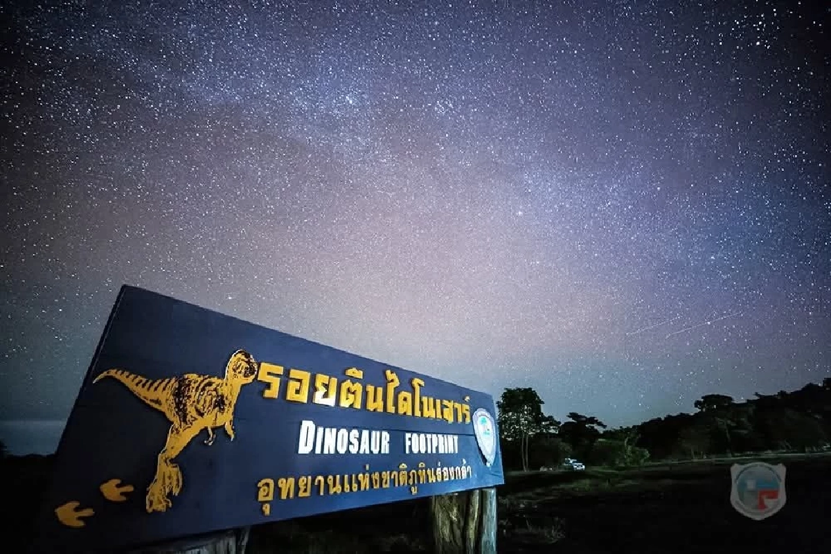ชวนสัมผัสรอยเท้าไดโนเสาร์ และท้องฟ้า Dark Sky ที่ภูหินร่องกล้า