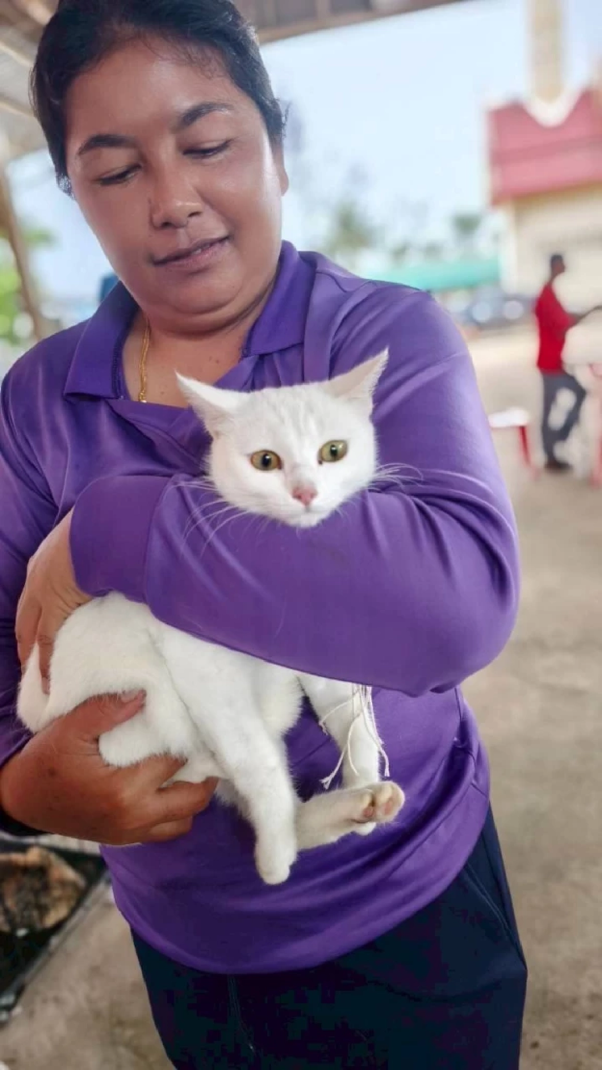 ปศุสัตว์โคราชทำหมันหมา–แมวฟรี ลดเสี่ยงโรคพิษสุนัขบ้า