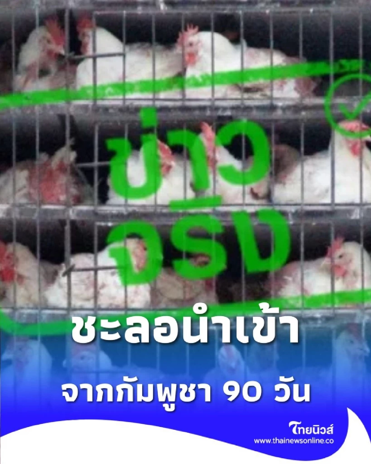 กรมปศุสัตว์ประกาศ ชะลอการนำเข้าสัตว์ปีก จากกัมพูชา 90 วัน