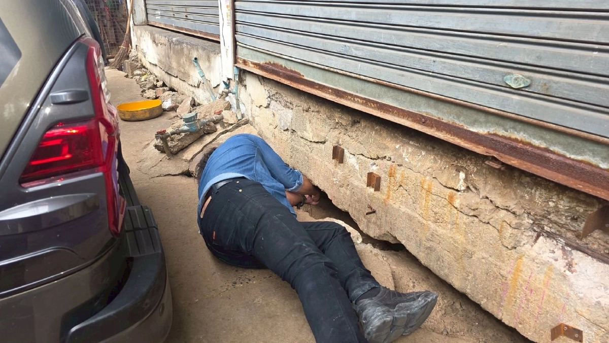 The Hope ช่วยหมาจรกว่า 30 ชีวิตติดใต้ตึกเสี่ยง งู-ตัวเงินตัวทองเพ่นพ่าน