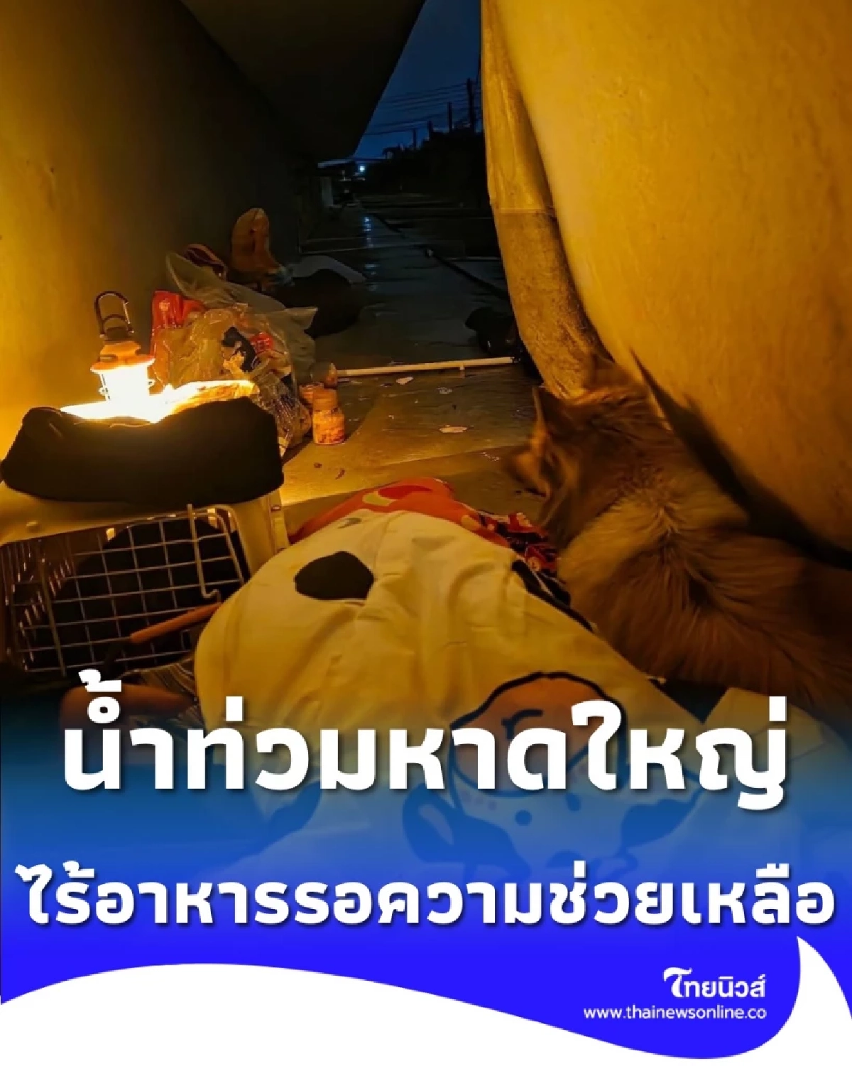 น้ำท่วมมิดหลังคา หลายครอบครัว-น้องหมา ติดค้าง ไร้อาหาร-ไร้เรือช่วย