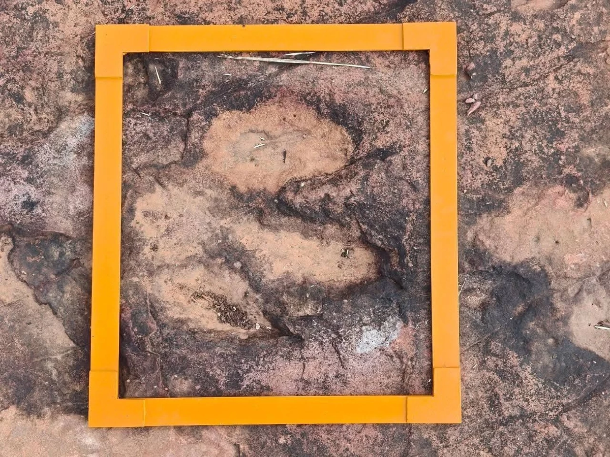 ชวนสัมผัสรอยเท้าไดโนเสาร์ และท้องฟ้า Dark Sky ที่ภูหินร่องกล้า