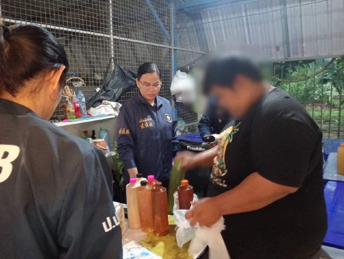 ป.ป.ส. จับมือตำรวจสุพรรณฯ ลุยตรวจร้านกระท่อม พบตั้งแผงลอยขาย