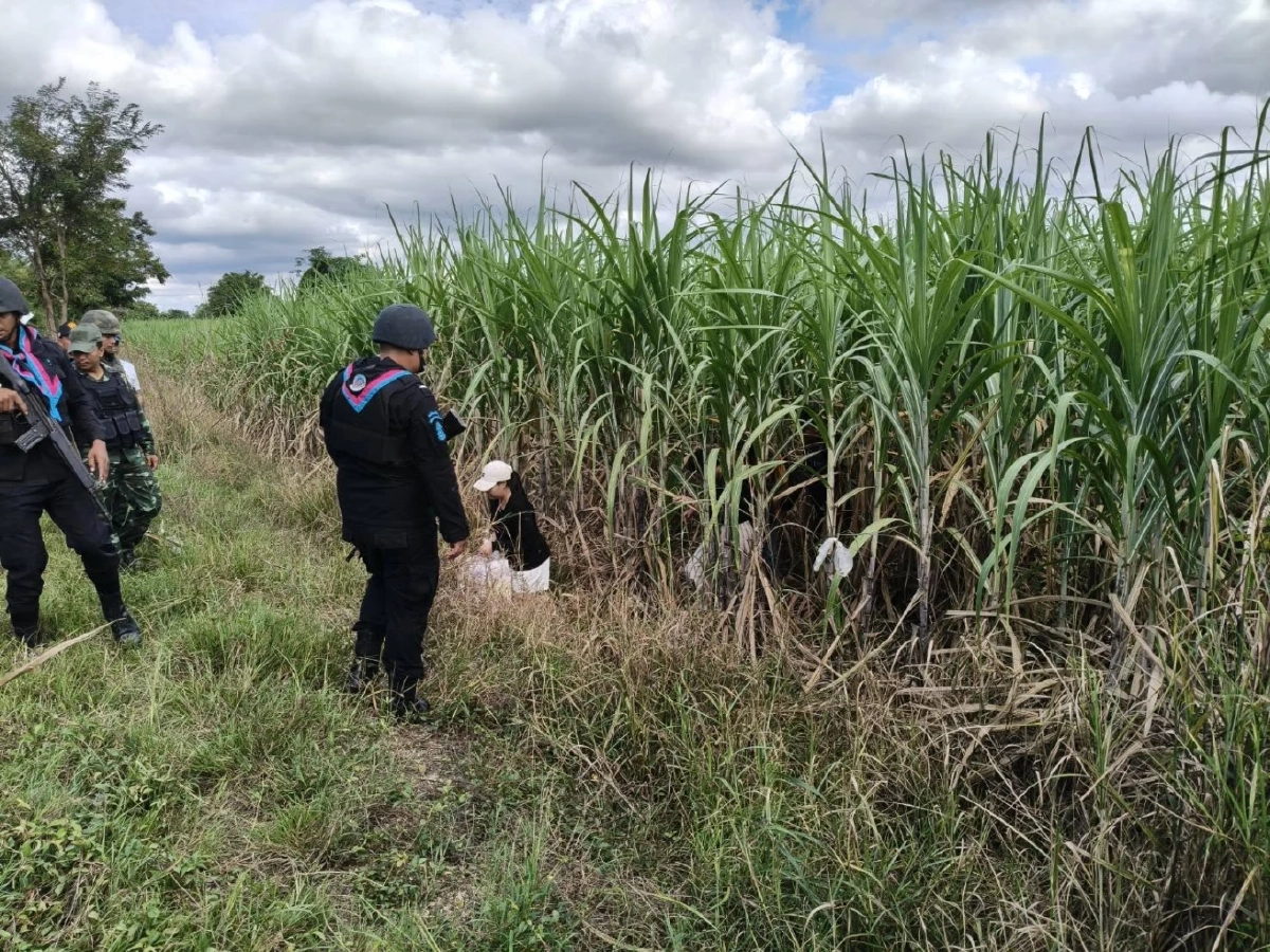 สกัดจับ 4 คนไทยกลางไร่อ้อยชายแดนสระแก้ว สารภาพถูกชักชวนทำงาน