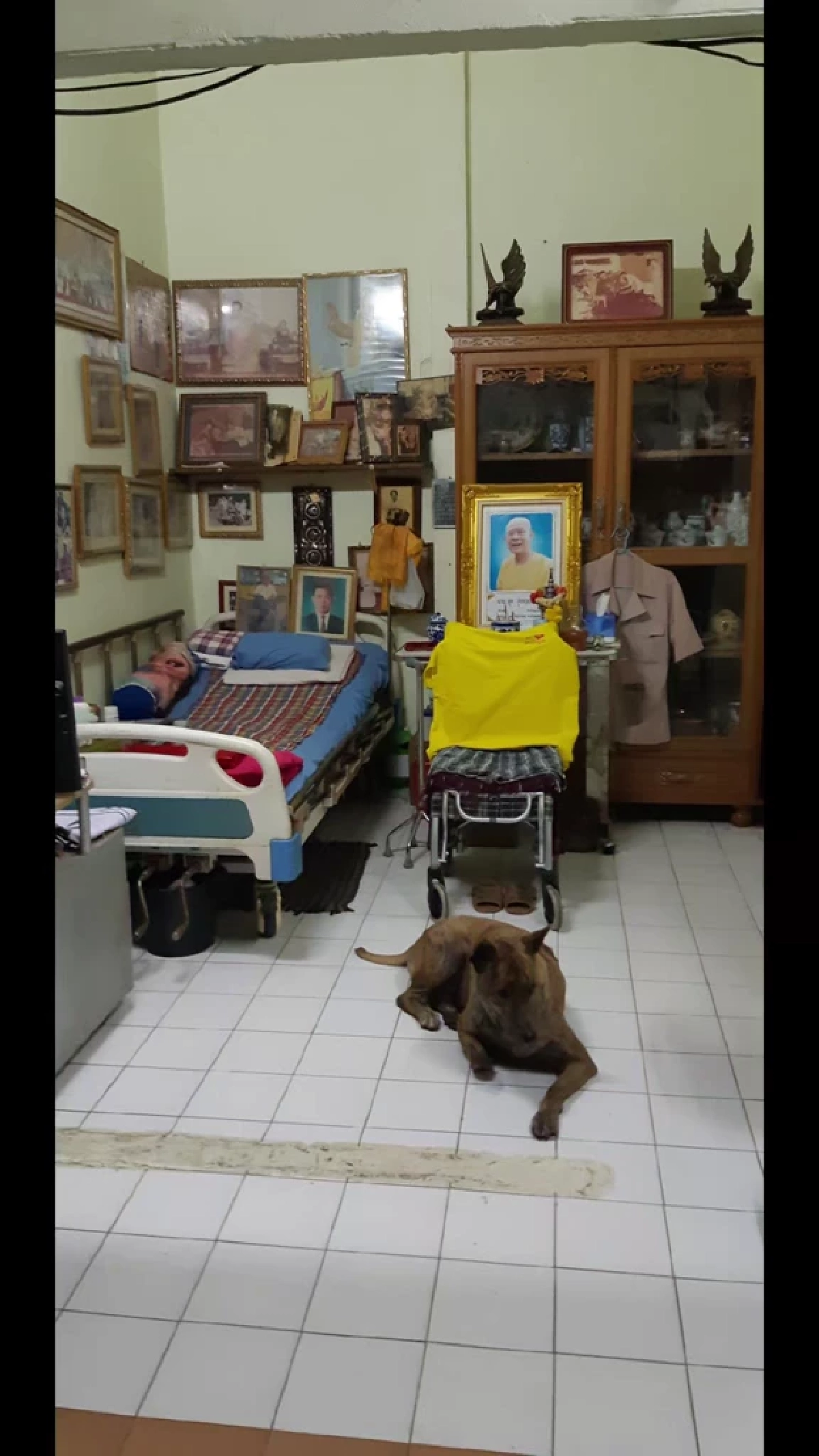 ซื่อสัตย์หมดหัวใจ! ไทเกอร์นอนเฝ้ารอยก๋งไม่เคยจางตลอด 5 ปี