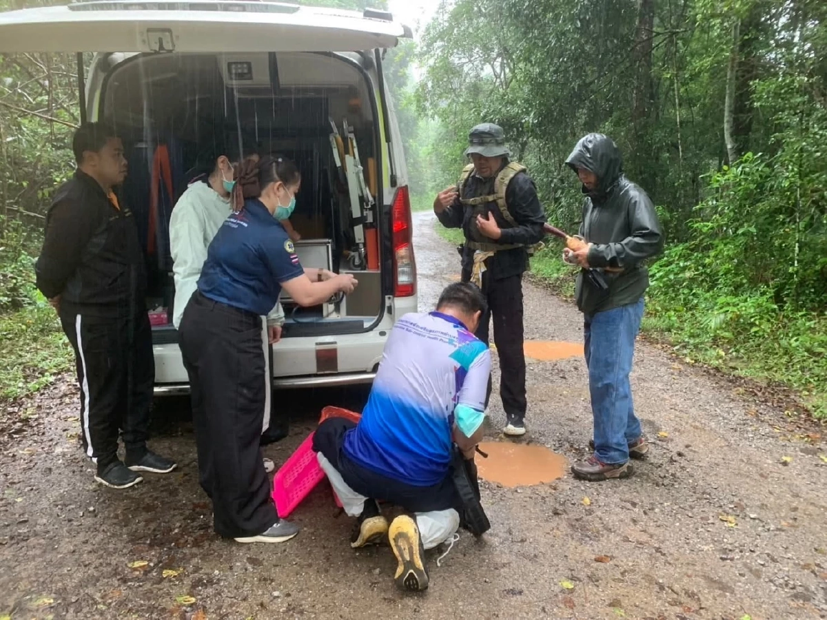 กระทิงขวิดเจ้าหน้าที่พิทักษ์ป่า “ภูเขียว” เจ็บหนัก! อธิบดีกรมอุทยานฯ สั่งดูแลใกล้ชิด