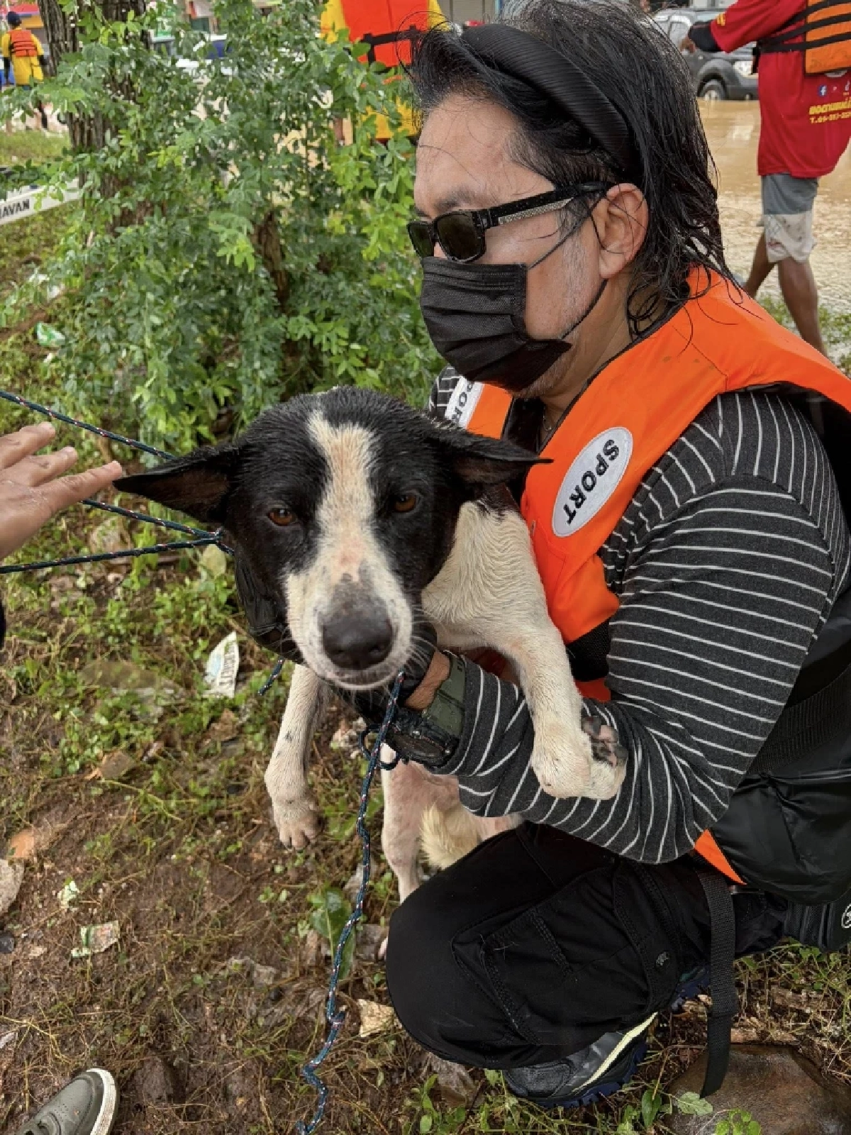 The Hope Thailand ลุยน้ำช่วยแมว–หมาติดบ้าน เขต 8 หาดใหญ่