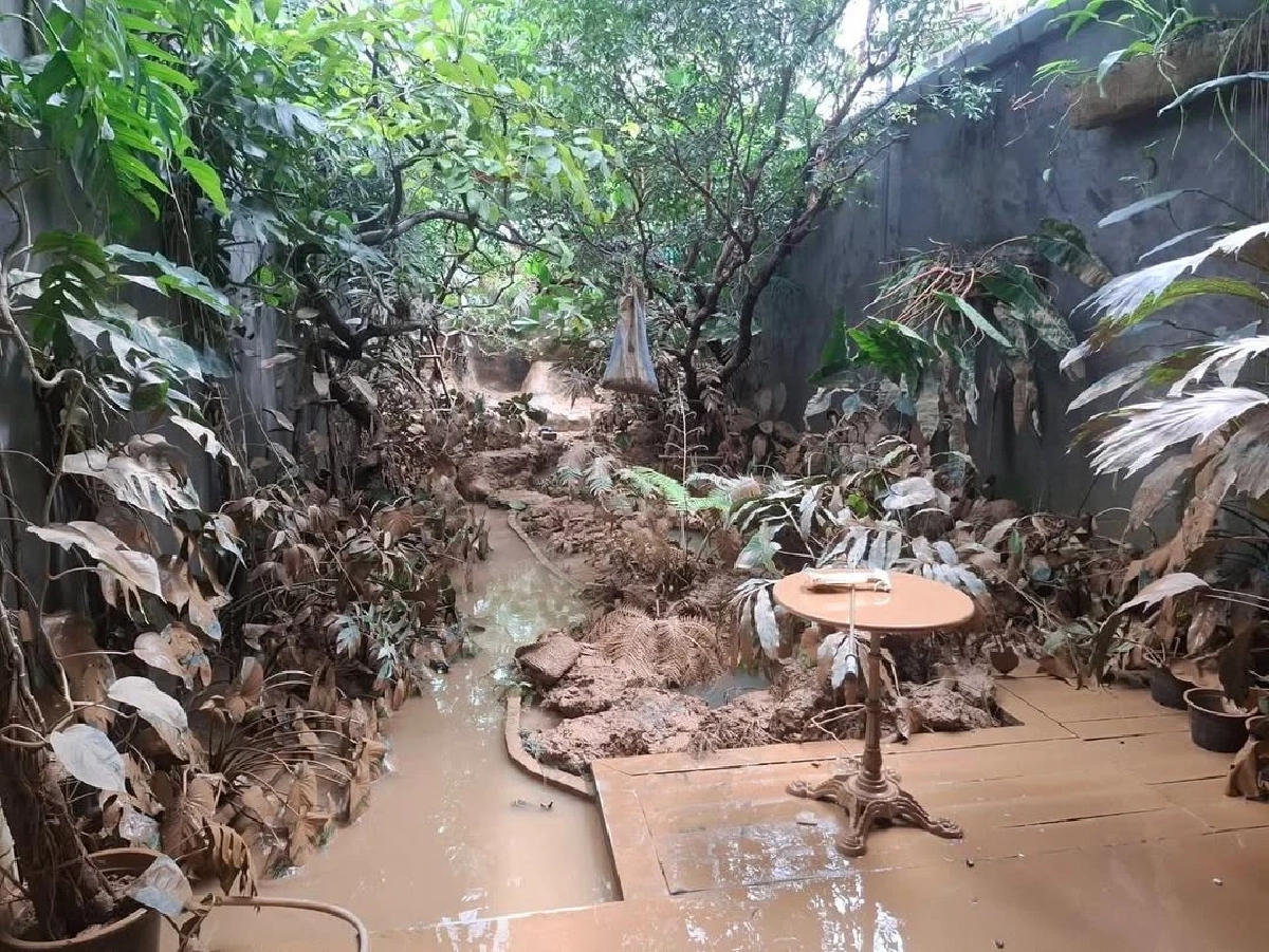 “เคน ภูภูมิ” ใจสลาย! เผยภาพคาเฟ่หาดใหญ่พังยับหลังน้ำลด