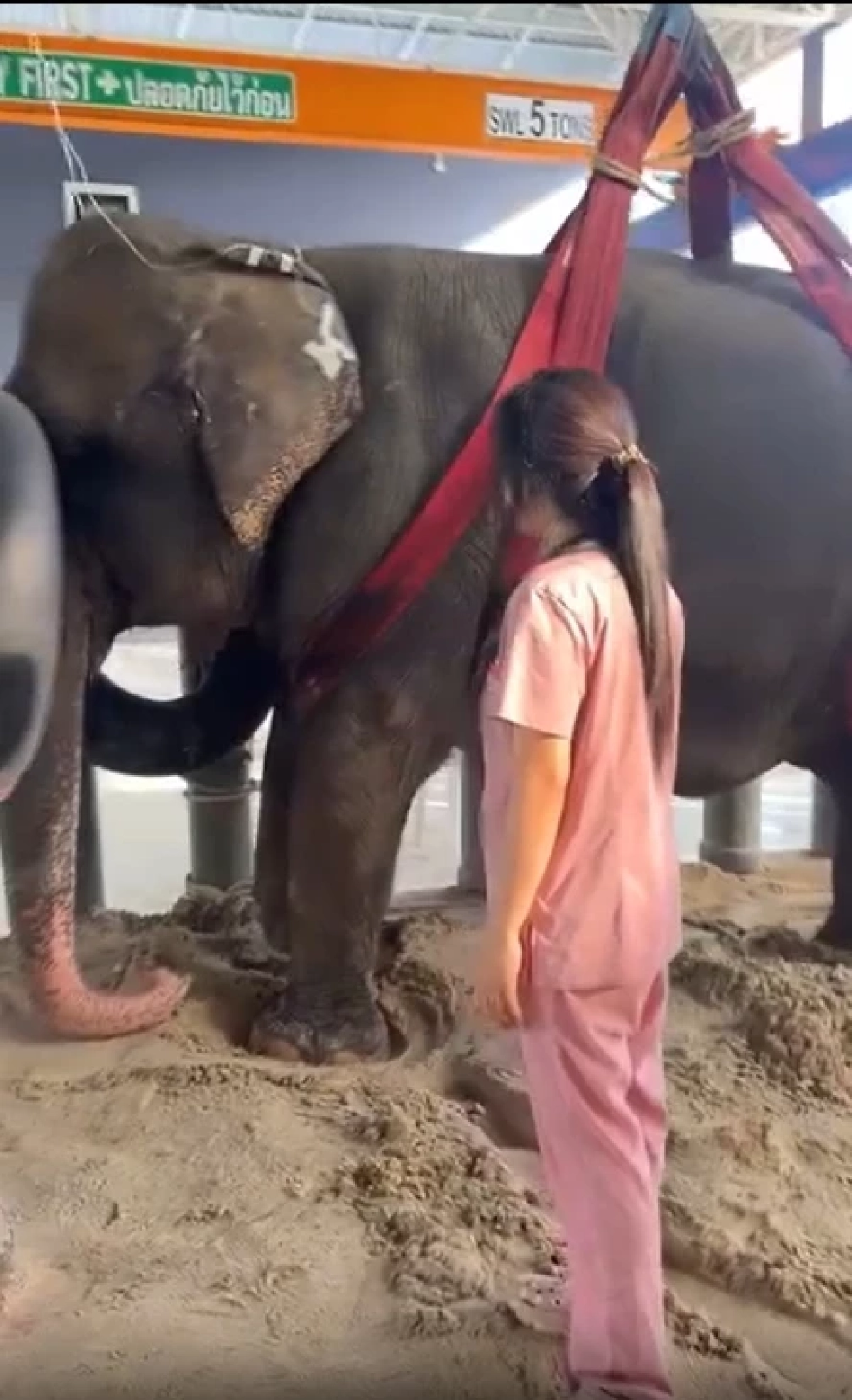 \"หมอโบว์\"เศร้า สิ่งสุดท้ายไม่ได้ทำ พังสร้อยฟ้า ล้ม หลังสู้18วัน