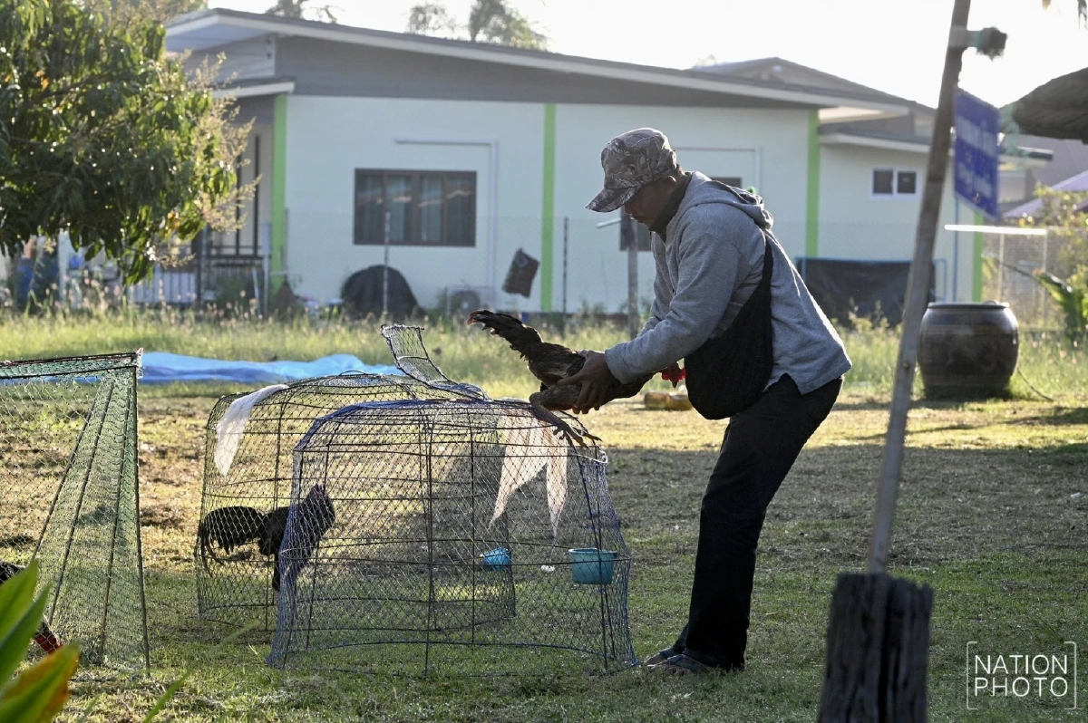 พนมดงรักอุณหภูมิลดฮวบ 4–7 องศา ชาวบ้านต้องสวมเสื้อกันหนาว