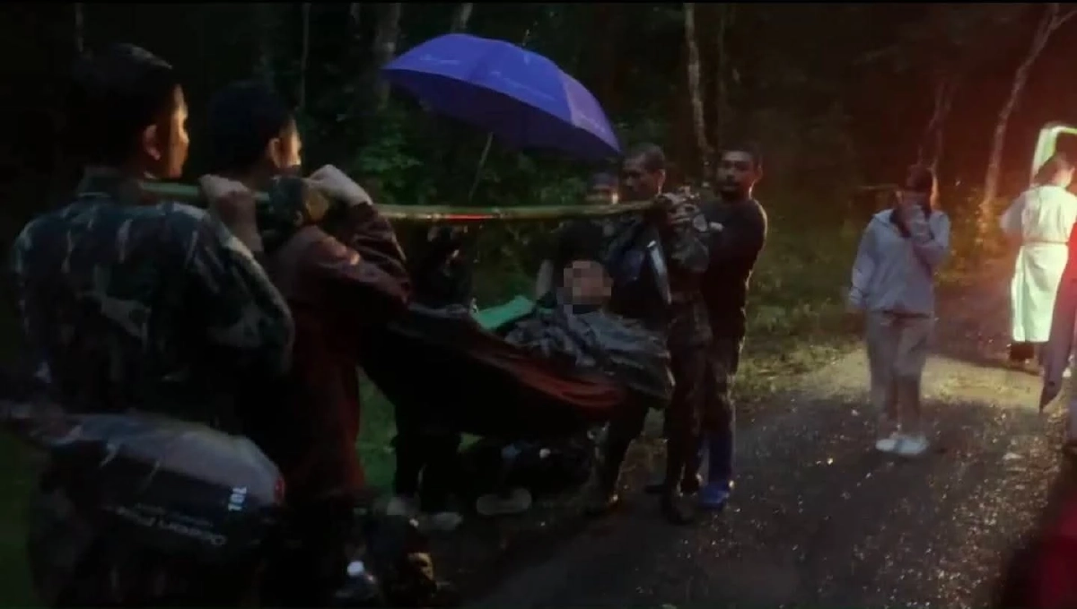 กระทิงขวิดเจ้าหน้าที่พิทักษ์ป่า “ภูเขียว” เจ็บหนัก! อธิบดีกรมอุทยานฯ สั่งดูแลใกล้ชิด