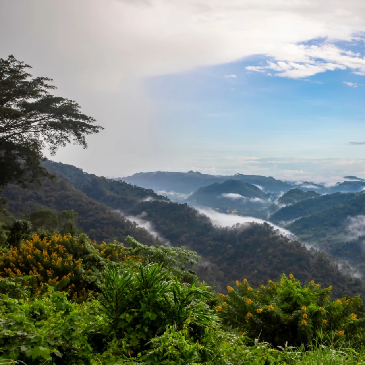 เปิด 10 อันดับ “อุทยานแห่งชาติยอดฮิต” ปี 68 รายได้เพิ่มต่อเนื่อง