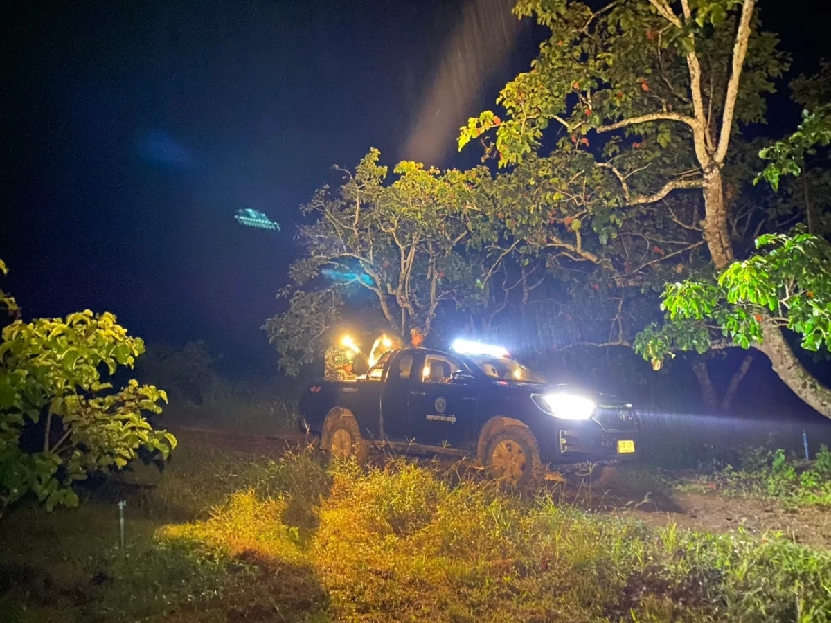 เจ้าหน้าที่เขาแผงม้าผลักดันอ้อยหวานช้างป่าเพศเมีย กลับเข้าป่า