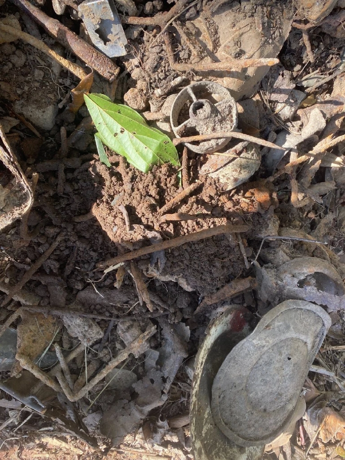 ศทช. เร่งเก็บกู้ทุ่นระเบิดชายแดนตราด เดินหน้าคืนพื้นที่ปลอดภัย