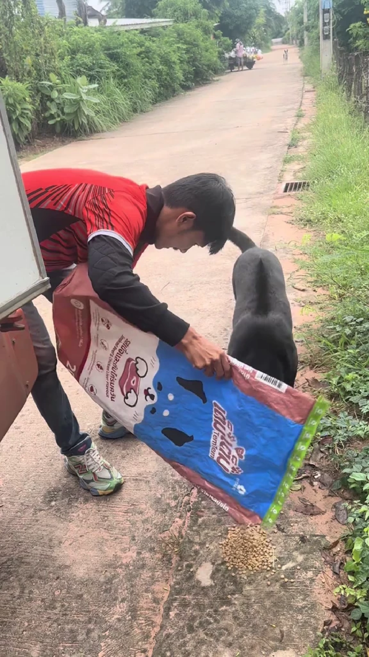 ถูกหักเงินก็ไม่หวั่น หนุ่มส่งขนมปังใจงาม คอยเลี้ยงอาหารหมาจร