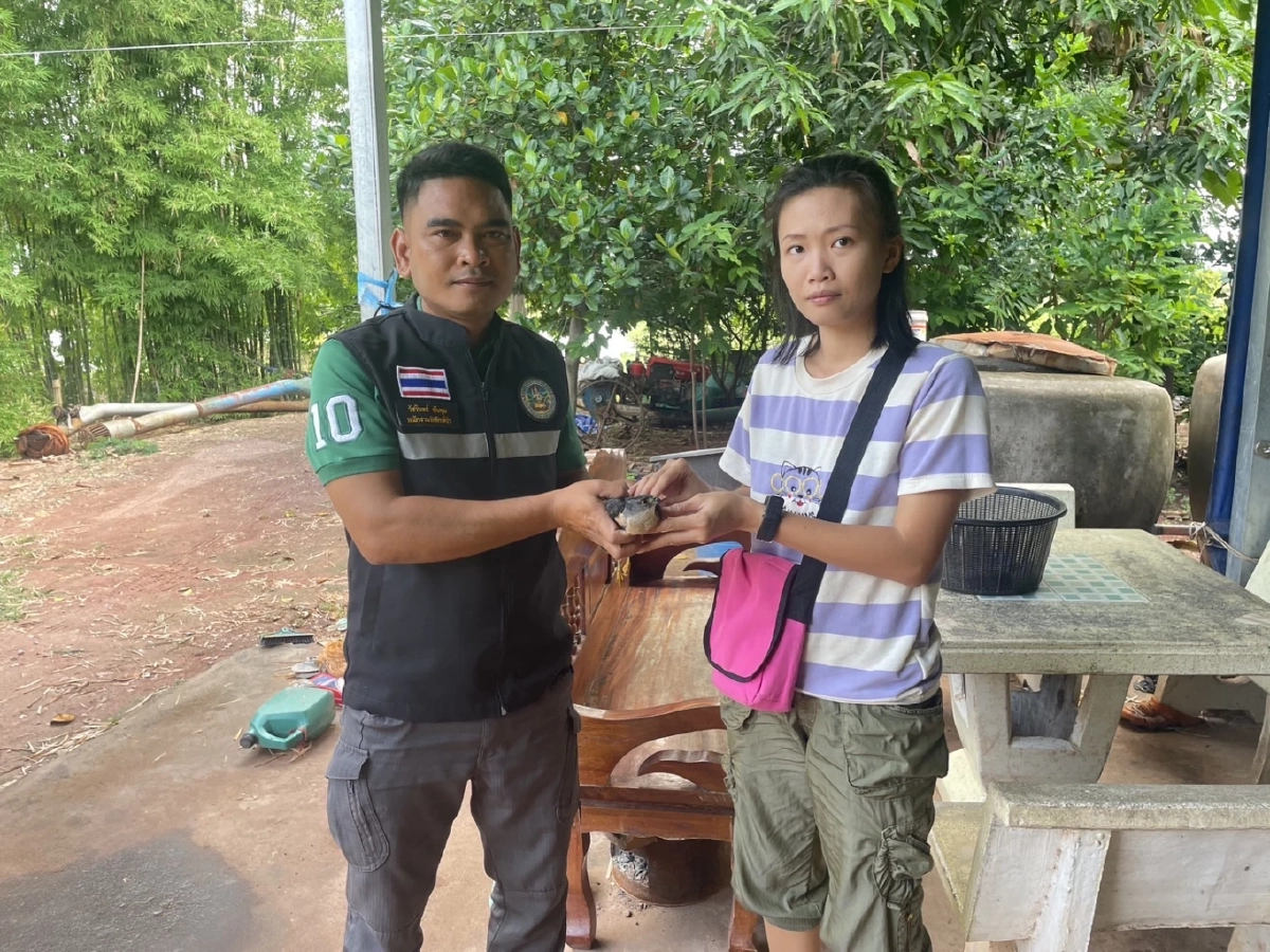 รับมอบ เหยี่ยวนกเขาชิครา ที่บาดเจ็บผ่านการแจ้งผ่านสายด่วน