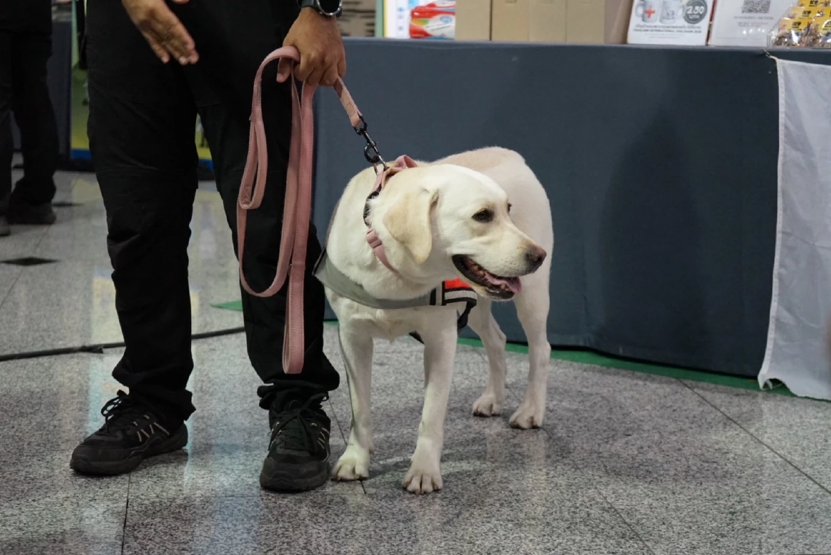 สุดคึกคัก บรรยากาศงาน\"สมัชชาสุขภาพแห่งชาติ ครั้งที่ 18\" ที่เมืองทองธานี