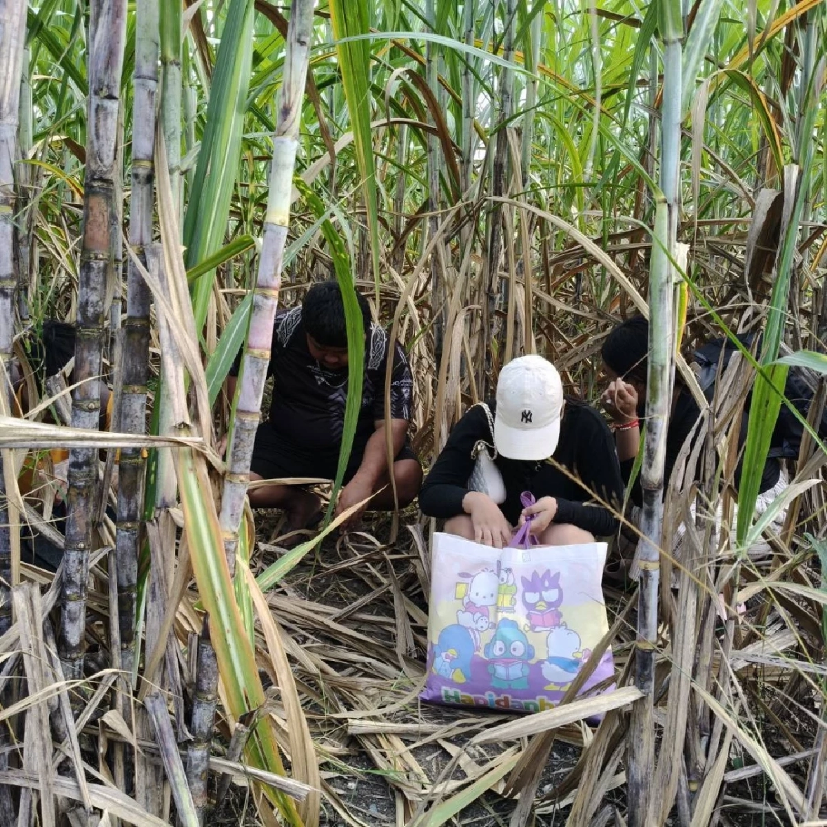 กองกำลังบูรพาเข้มชายแดนสระแก้ว หลังจับลอบเข้าเมืองกว่า 500 ราย