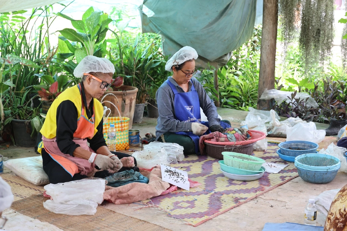 จากบ่อสู่แบรนด์ ดันแปรรูป ลูกอ๊อด-กบ รายได้งาม ลุยตลาดอาเซียน