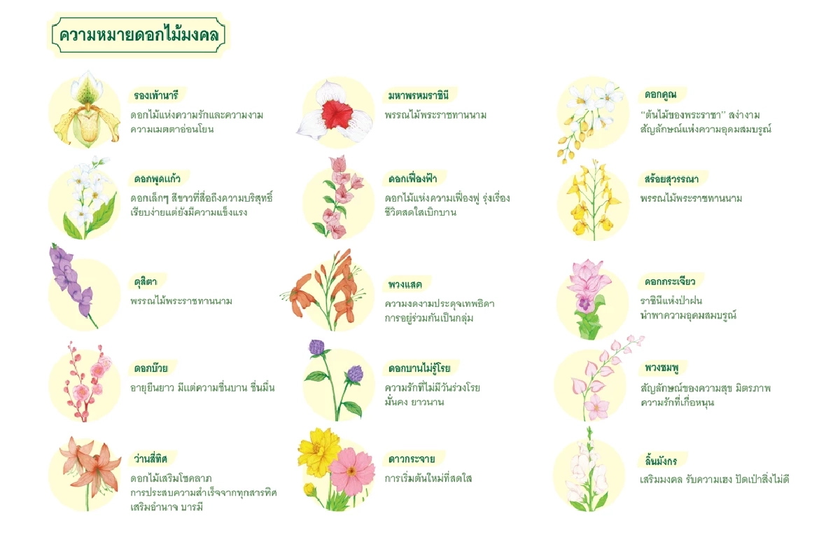 \"ดอยคำ\" ส่งมอบรอยยิ้มด้วย กระเช้าปีใหม่ และชุดของขวัญ 2569  ผ่านดอกไม้มงคล 15 ชนิด