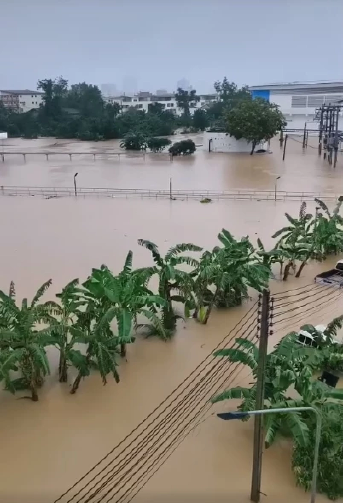 หาดใหญ่เปิดสายด่วนฉุกเฉิน 24 ชม. ช่วยอพยพผู้ประสบภัยน้ำท่วม