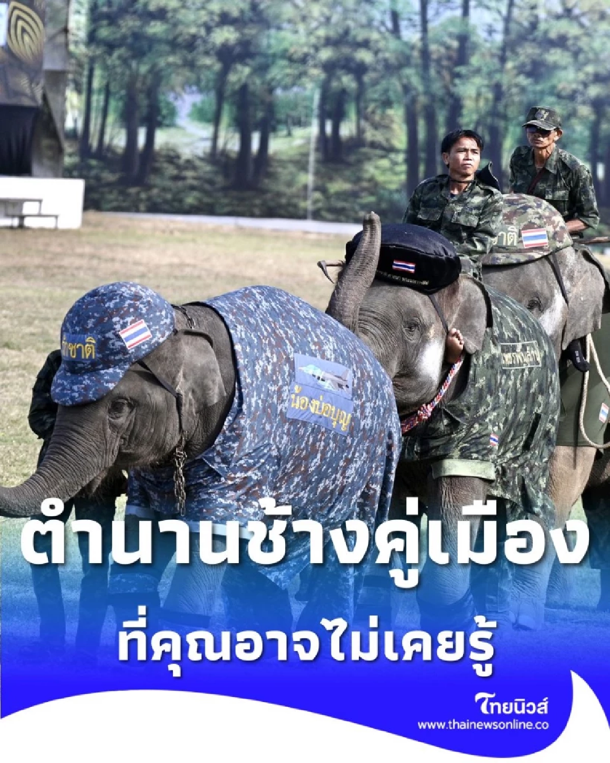 งานแสดงช้างสุรินทร์ 2568 ยิ่งใหญ่ 7 องก์ เปิดตำนานช้างคู่เมืองที่คุณไม่เคยรู้