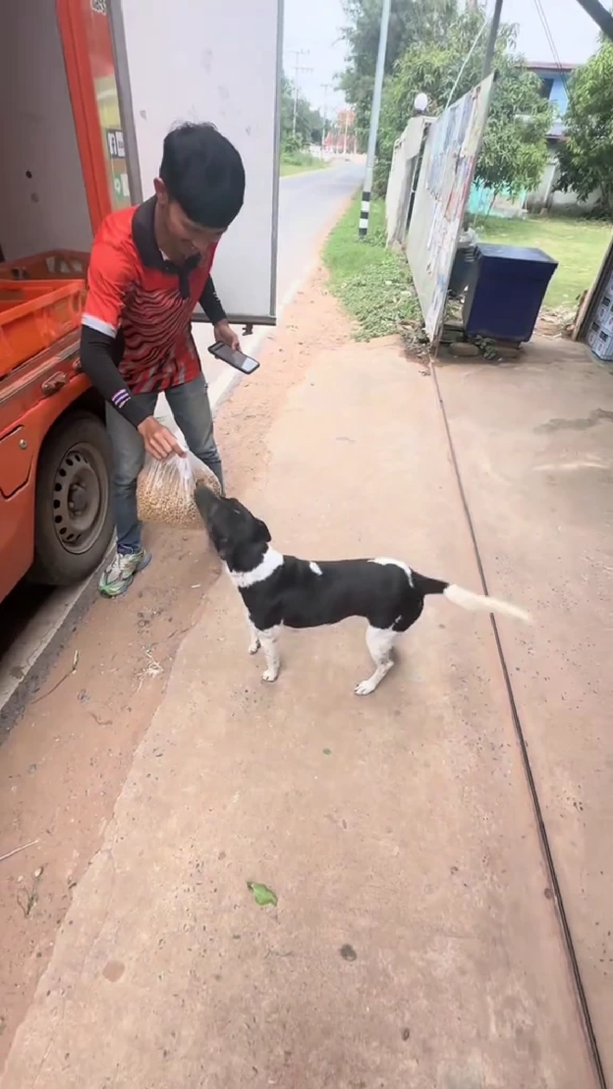 ถูกหักเงินก็ไม่หวั่น หนุ่มส่งขนมปังใจงาม คอยเลี้ยงอาหารหมาจร