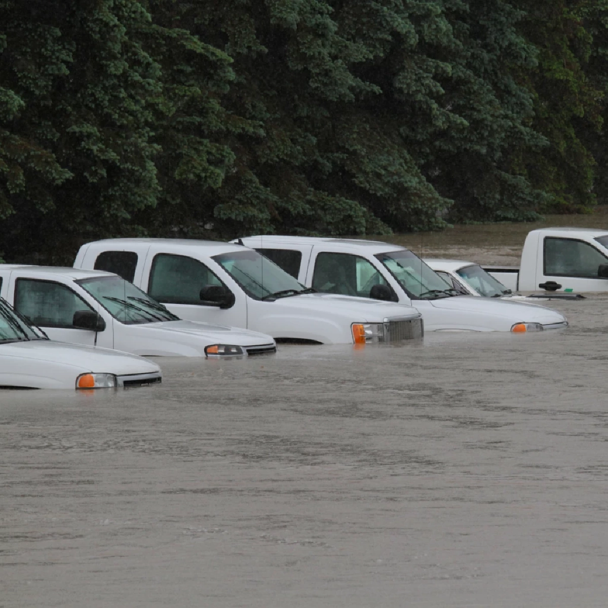 น้ำท่วมรถเคลมได้ไหม? เปิดเงื่อนไขประกันแต่ละชั้นที่ต้องรู้