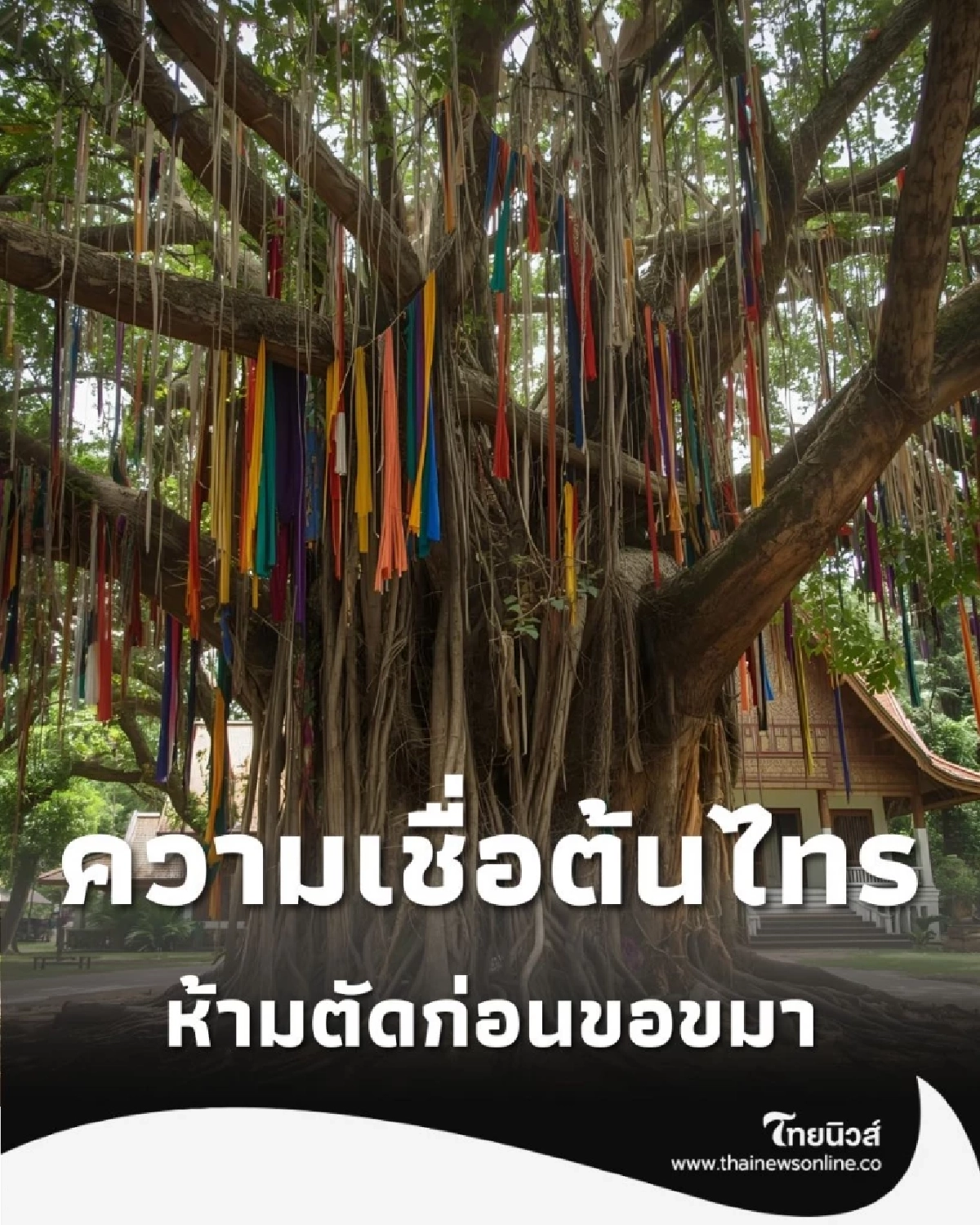 แค่เห็นก็ขนลุก เปิดความเชื่อโบราณเกี่ยวกับ ต้นไทร ที่คนยุคนี้ไม่เคยรู้