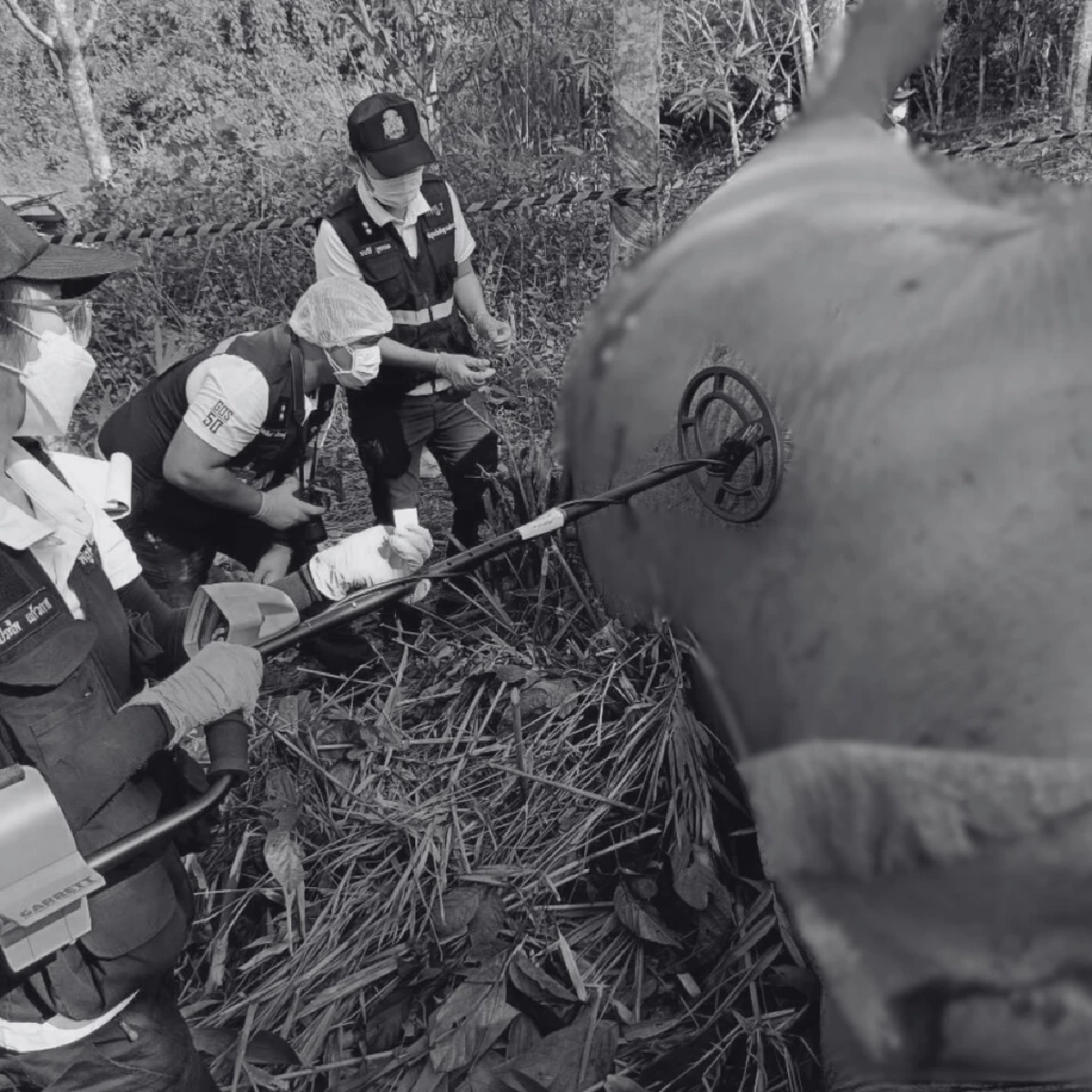 สัตวแพทย์ตรวจซากช้างป่า พบลูกตะกั่ว 6 เม็ด เร่งล่าคนยิง