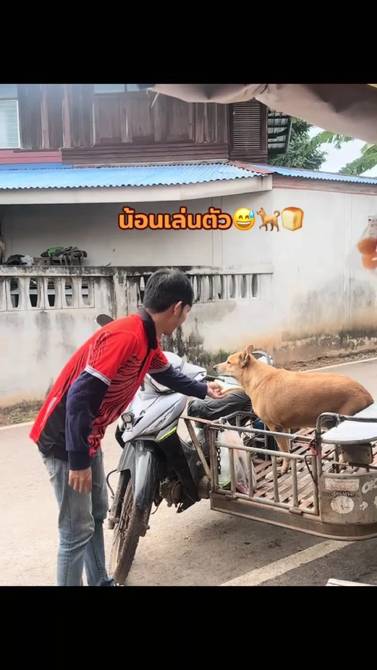 ถูกหักเงินก็ไม่หวั่น หนุ่มส่งขนมปังใจงาม คอยเลี้ยงอาหารหมาจร