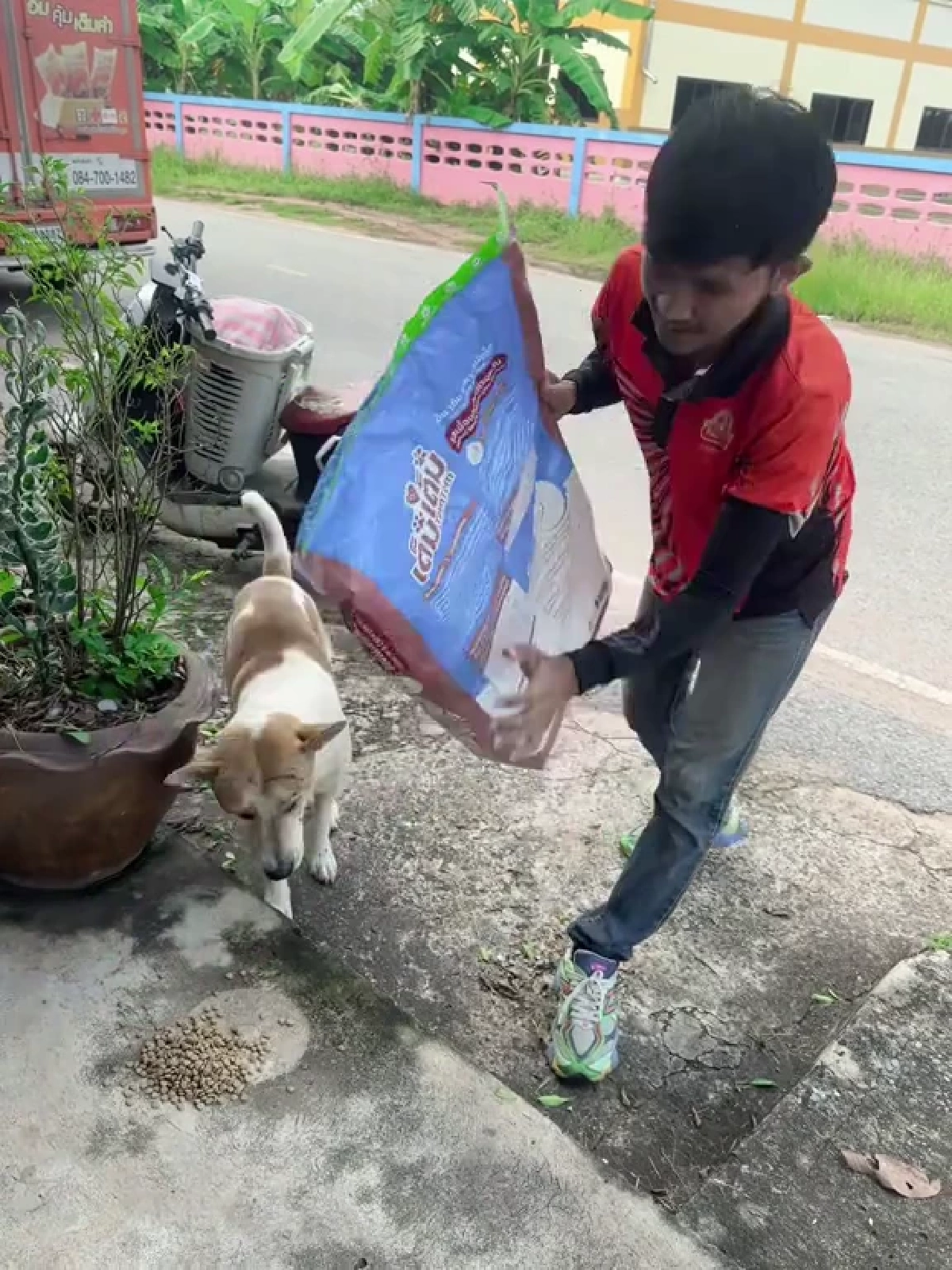 ถูกหักเงินก็ไม่หวั่น หนุ่มส่งขนมปังใจงาม คอยเลี้ยงอาหารหมาจร