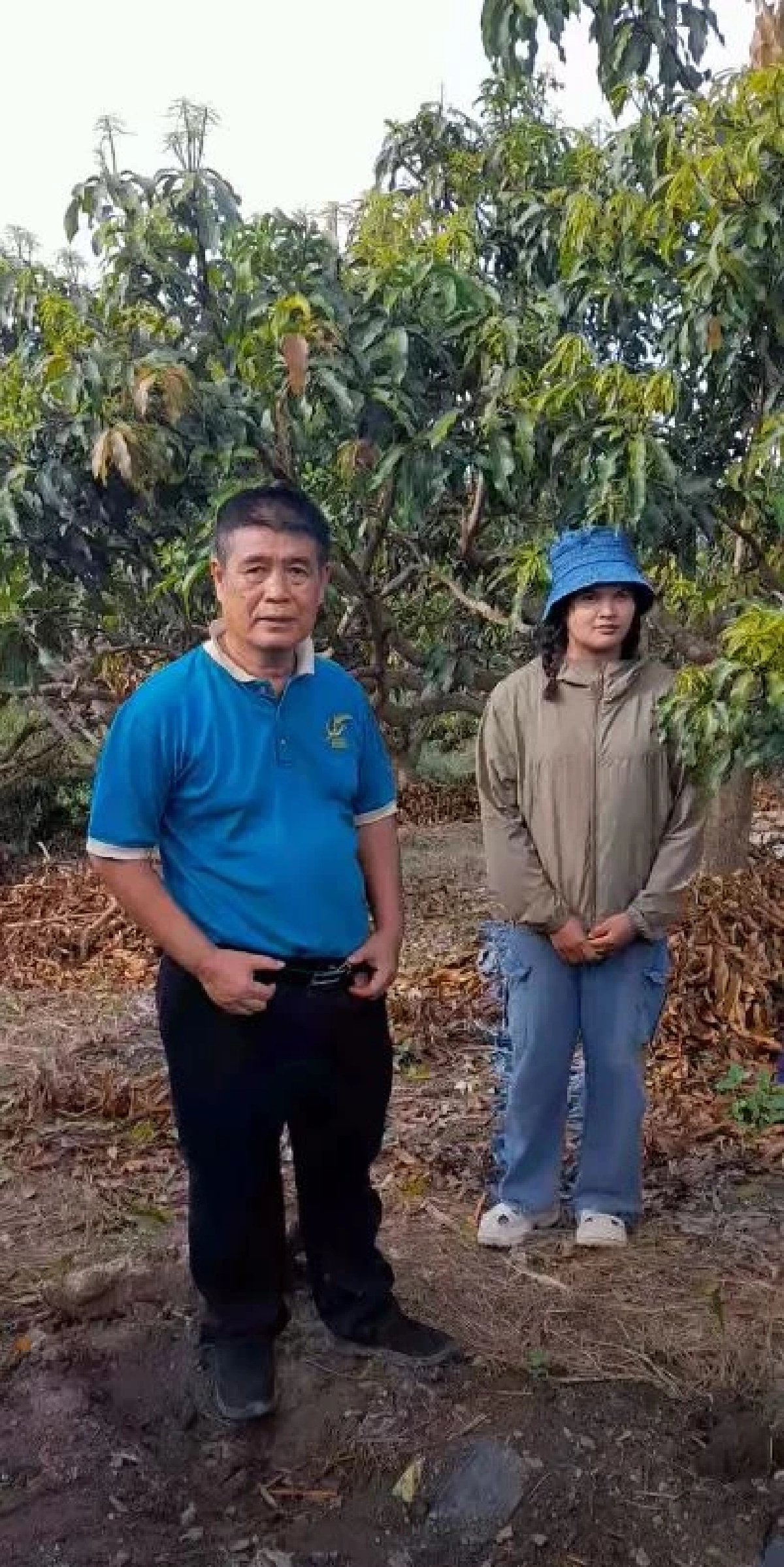 ทริคเด็ดชาวสวน เปิดตาเรียกดอกมะม่วง บานสะพรั่งทั้งใน-นอกฤดู