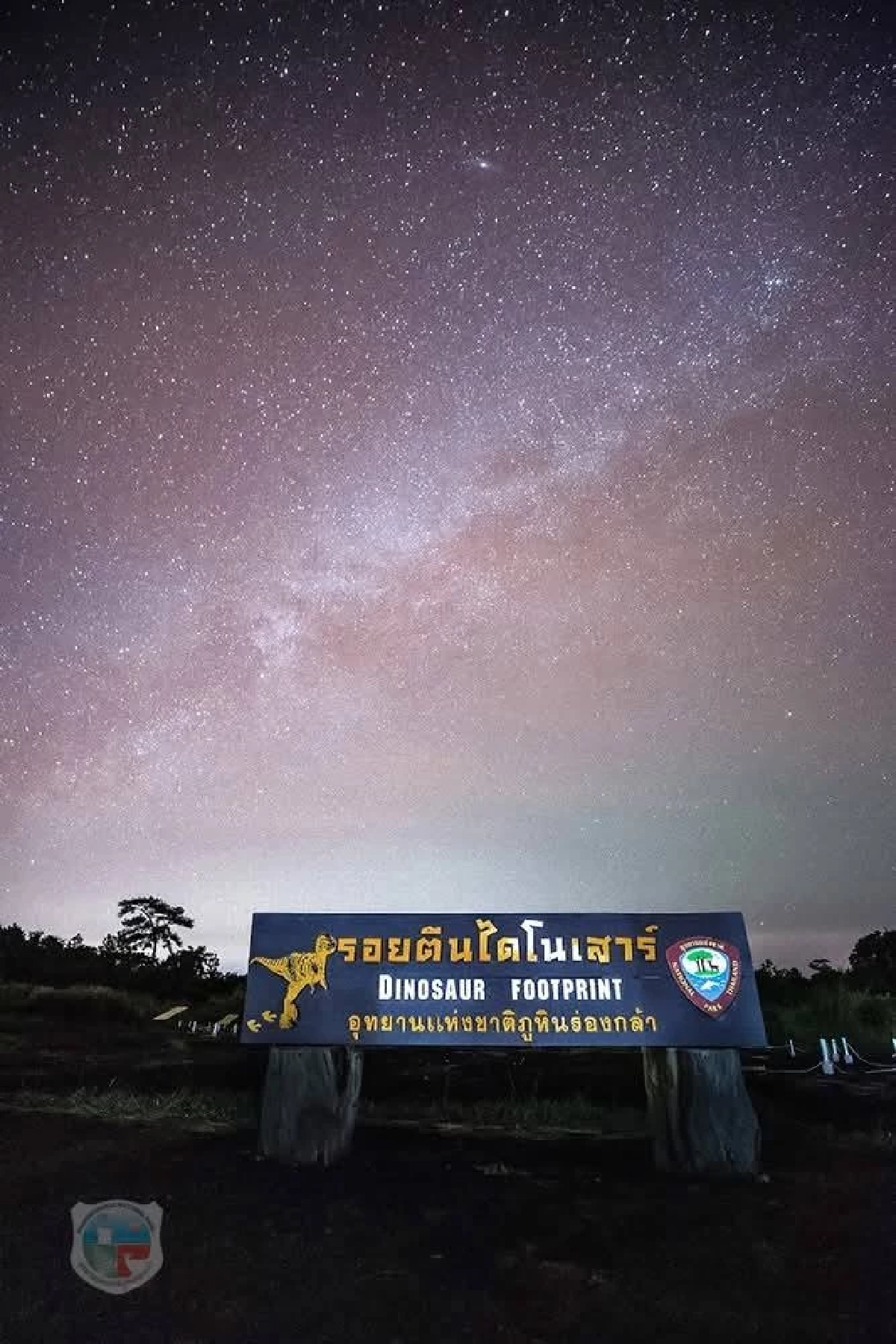 ชวนสัมผัสรอยเท้าไดโนเสาร์ และท้องฟ้า Dark Sky ที่ภูหินร่องกล้า
