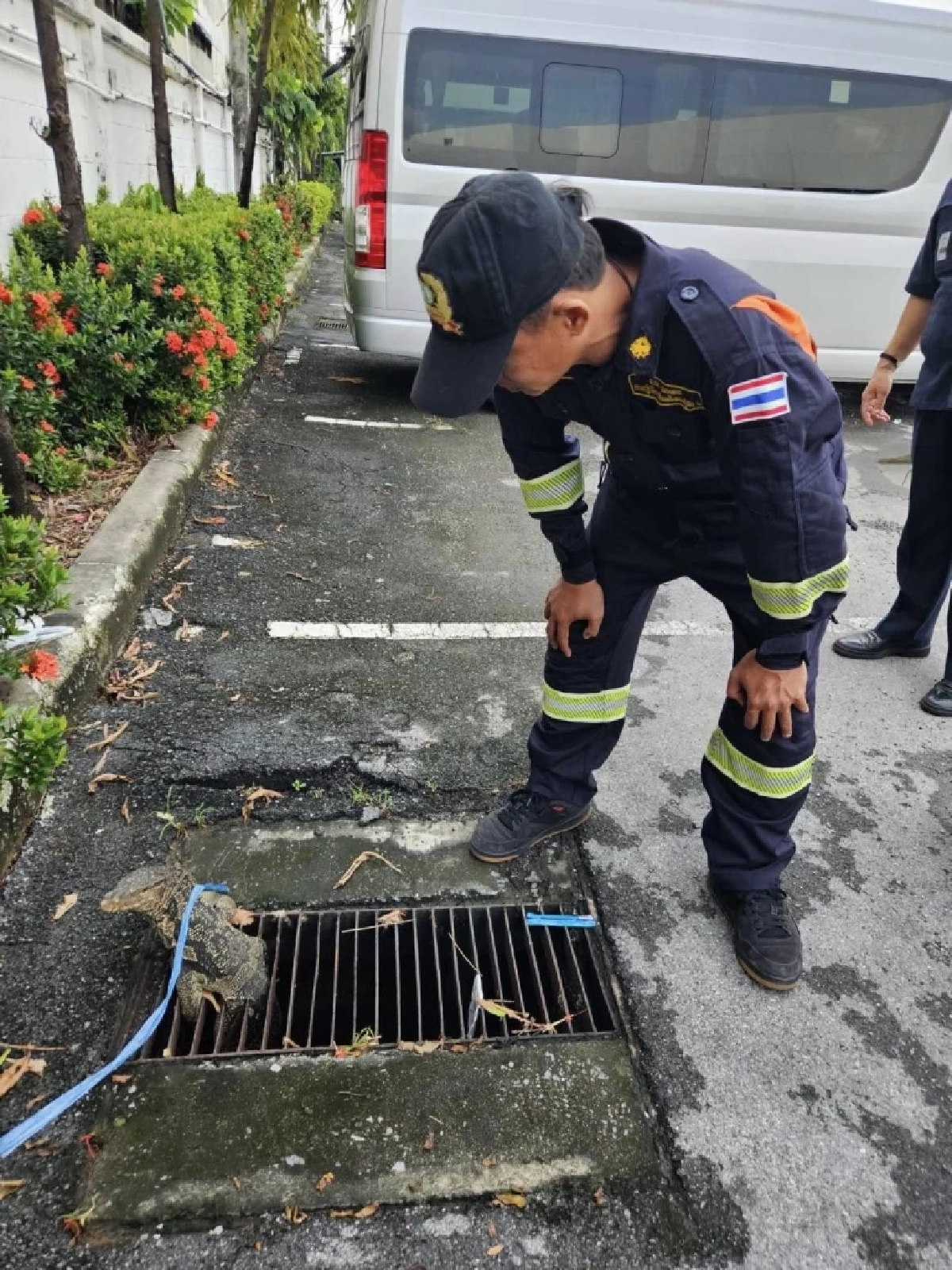 กู้ภัยคลองเตยระทึก! ช่วย ตัวเงินตัวทอง ติดท่อระบายน้ำ