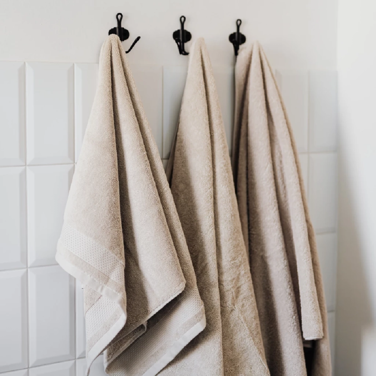 เปิดที่มาคำว่า “ผ้าขนหนู” จริงๆแล้วทำมาจากขนตัวอะไร