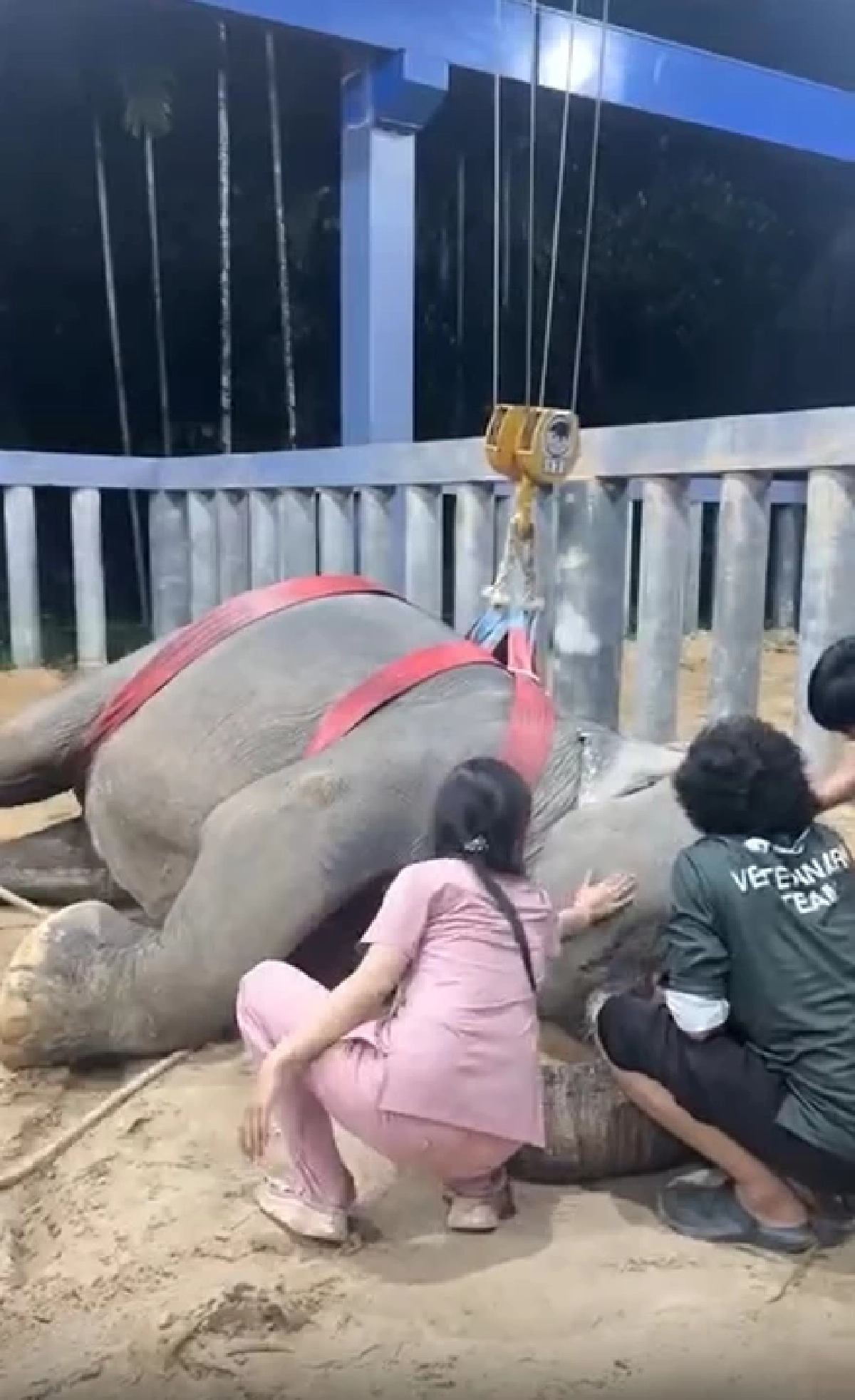 \"หมอโบว์\"เศร้า สิ่งสุดท้ายไม่ได้ทำ พังสร้อยฟ้า ล้ม หลังสู้18วัน