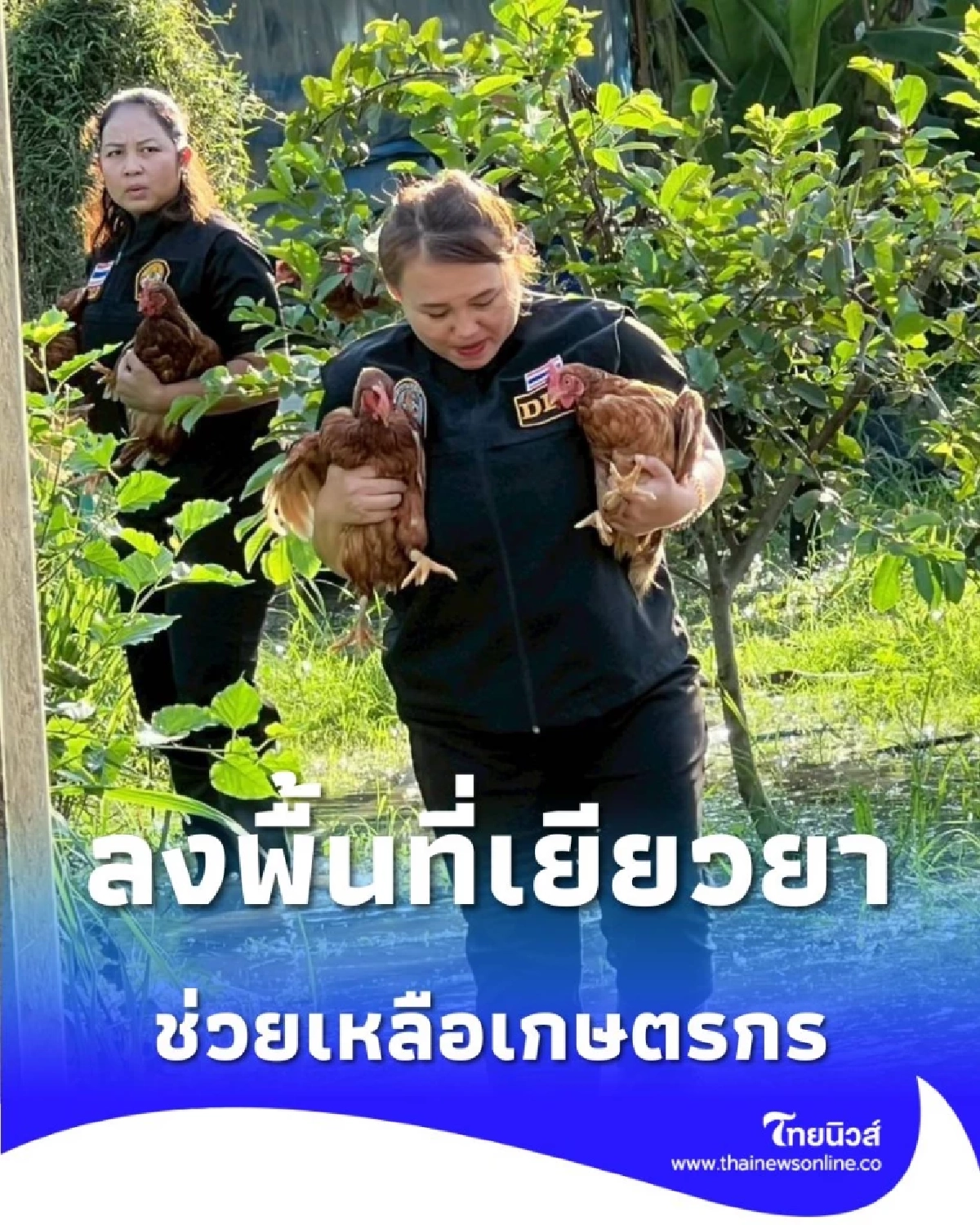 กรมปศุสัตว์ ลงพื้นที่เยียวยาเกษตรกรผู้เลี้ยงสัตว์ชัยนาทที่ประสบภัยน้ำท่วม