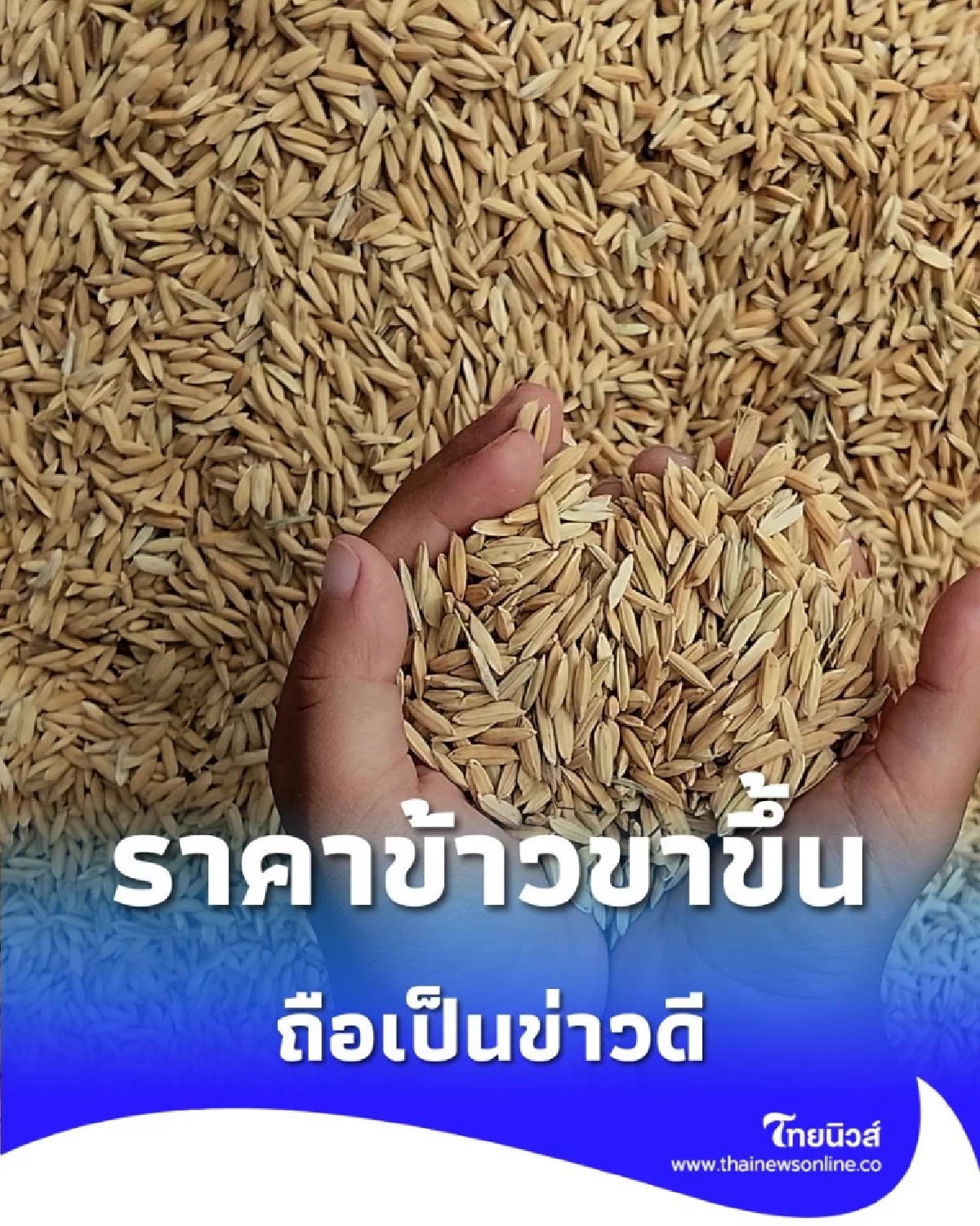 รัฐบาลตั้งเป้าดันราคาข้าวเปลือกแตะ 15,000 บาทต่อตัน มอบเป็นของขวัญให้เกษตรกร
