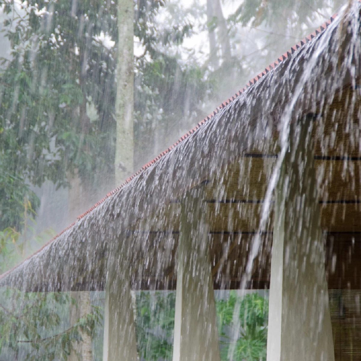 กทม. โล่งอก! มวลอากาศจีนดันร่องมรสุมลงใต้ ส่งผลฝนลดลง