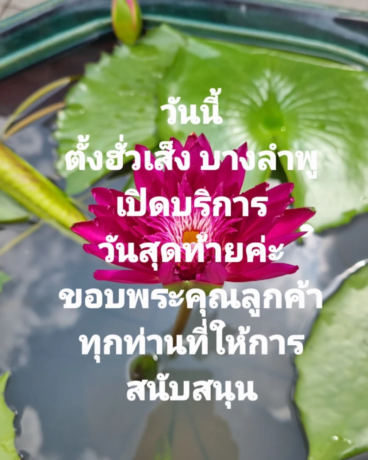 ลูกค้าใจหาย ห้างดังในตำนาน ย่านบางลำพู เปิดบริการวันสุดท้าย