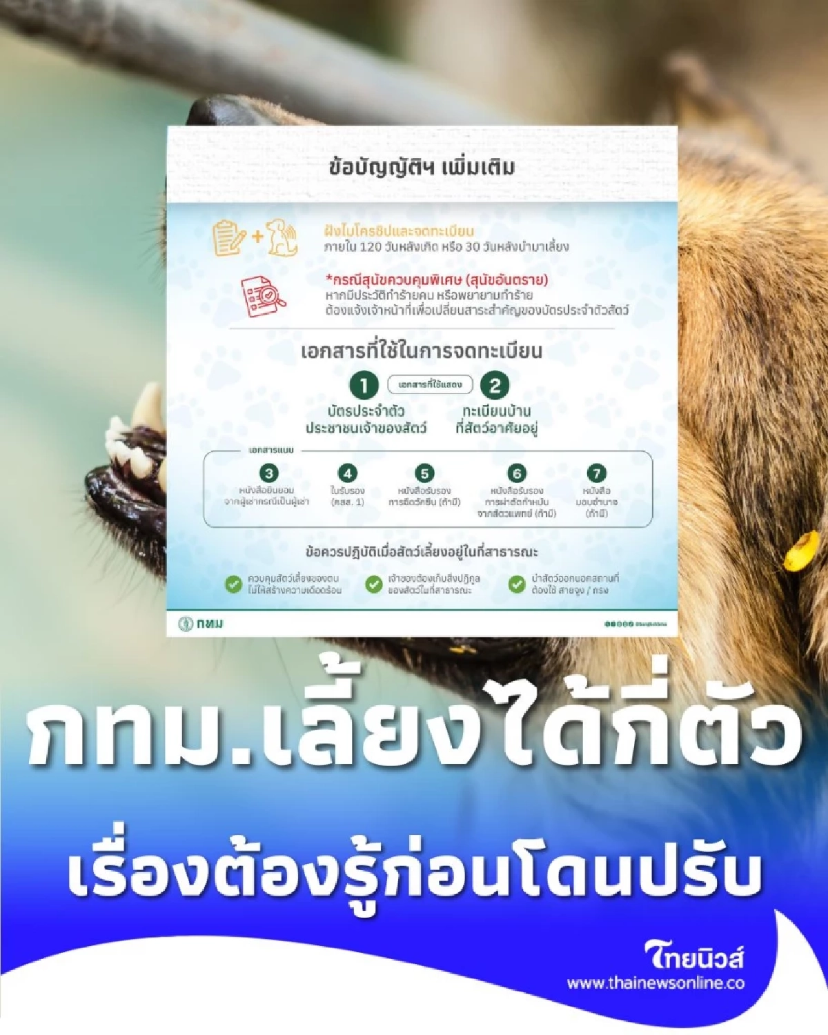 กฎหมายคุมสัตว์เลี้ยง กทม. เลี้ยงได้กี่ตัว ต้องทำอะไรบ้างก่อนโดนปรับ