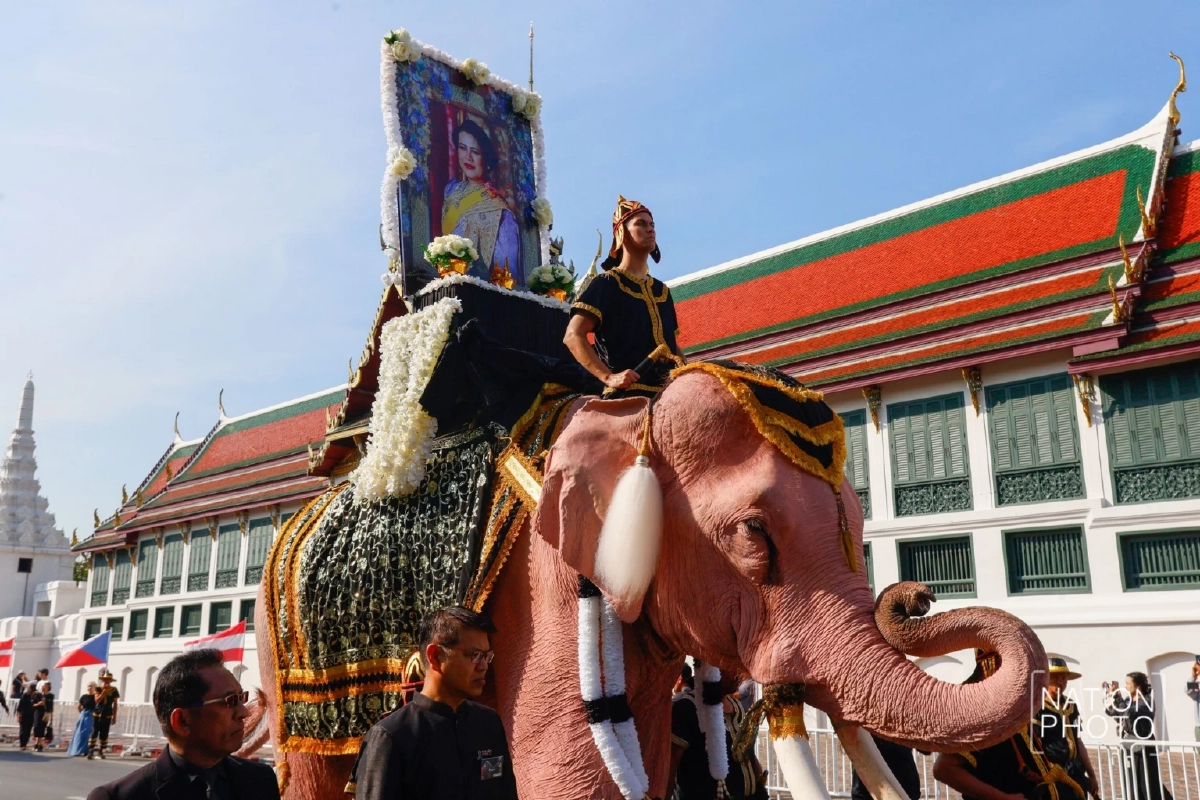 ขบวน คชสารคู่แผ่นดิน 11 เชือก น้อมถวายบังคมพระบรมศพ สมเด็จพระบรมราชชนนีพันปีหลวง