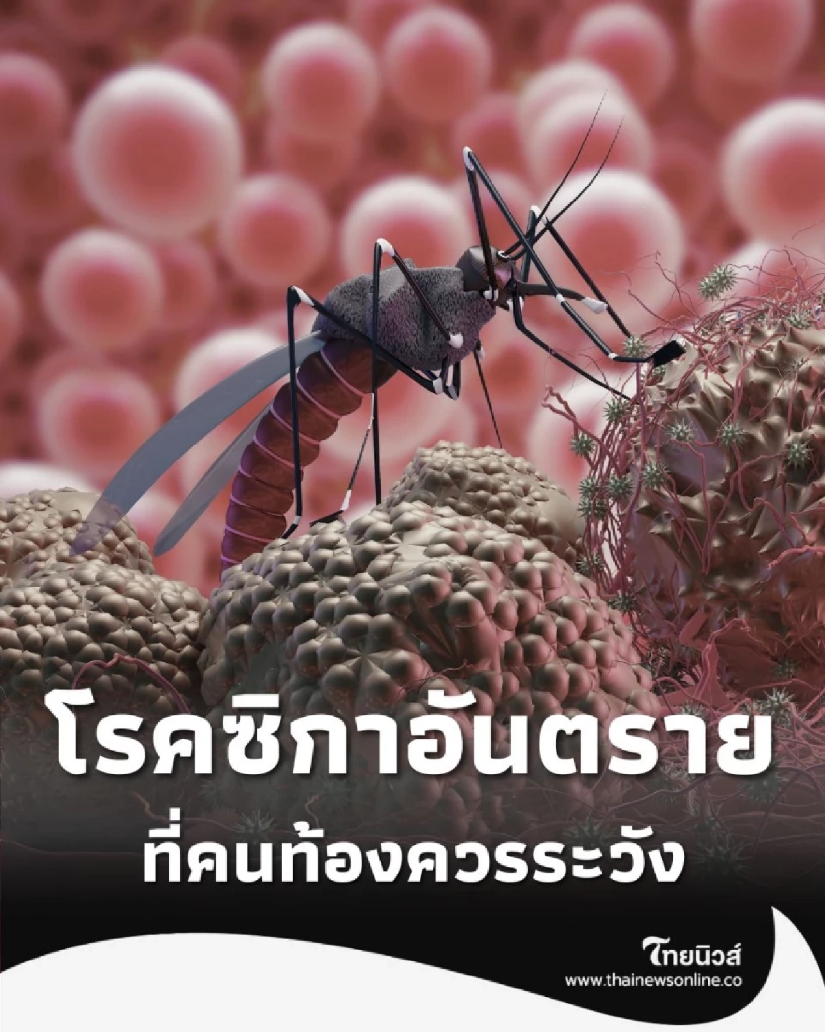 ยุงกัดแม่ เสี่ยงลูกพิการ เช็คอาการ ไวรัสซิกา ที่คนท้องควรระวัง