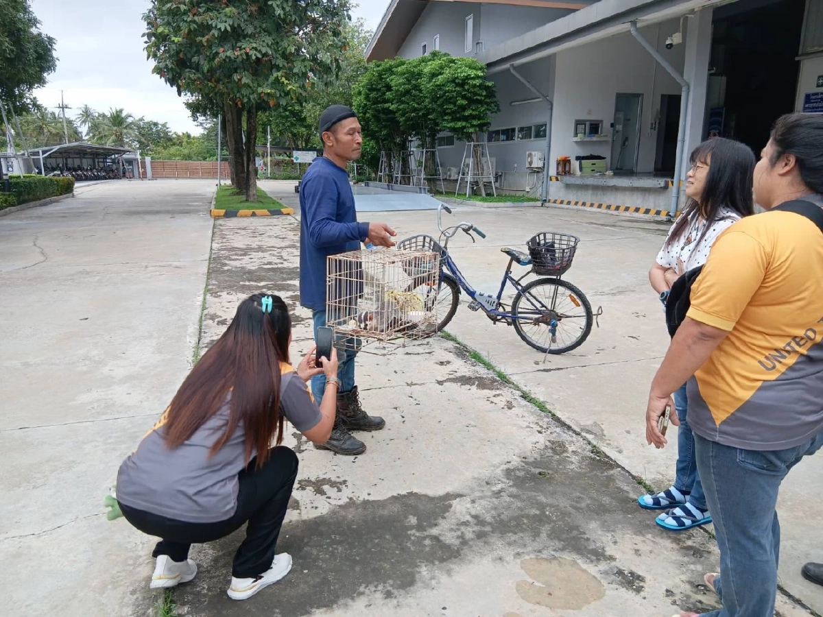 พบ หมาหริ่ง พลัดหลง! ประชาชนแจ้งสายด่วนพิทักษ์ป่า 1362